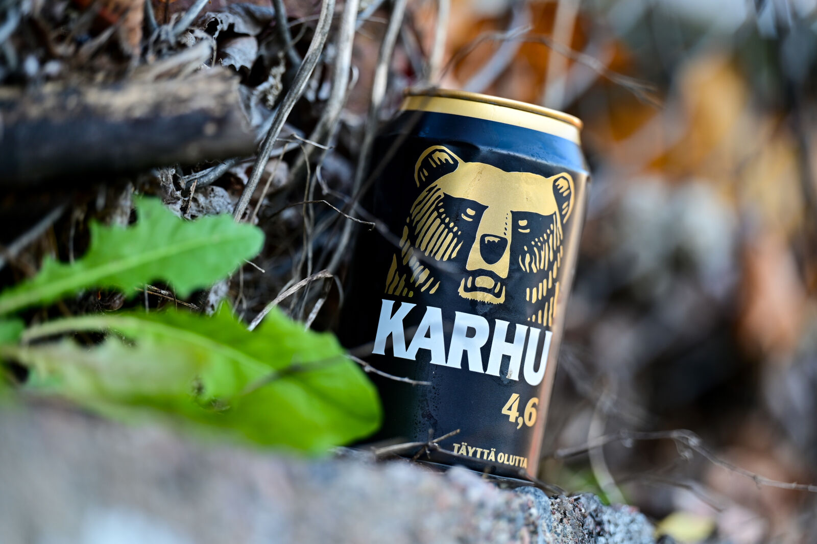 Nikon Z6 II sample photo. Nature calls for beer photography