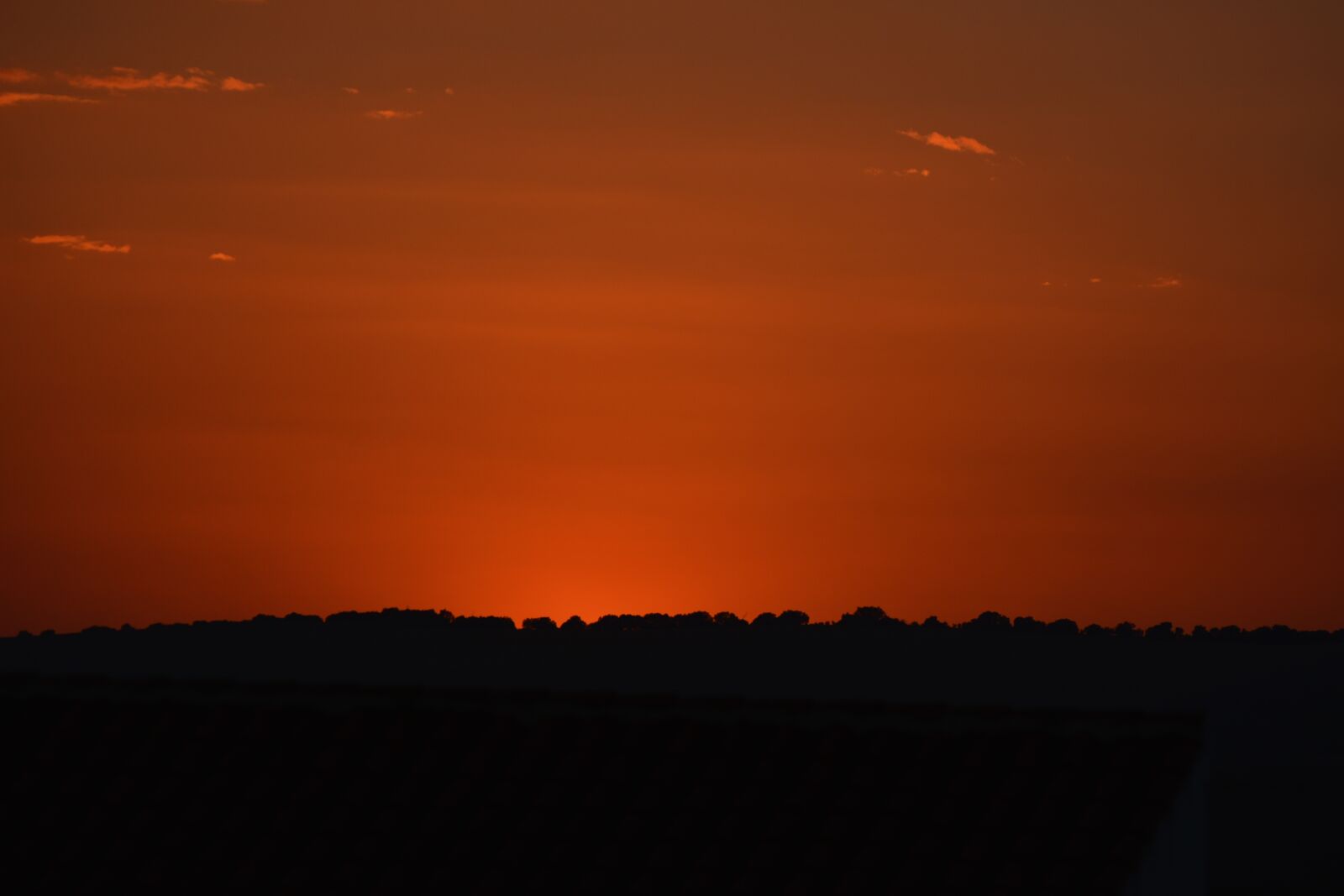 Nikon D7100 sample photo. Sunset, orange photography