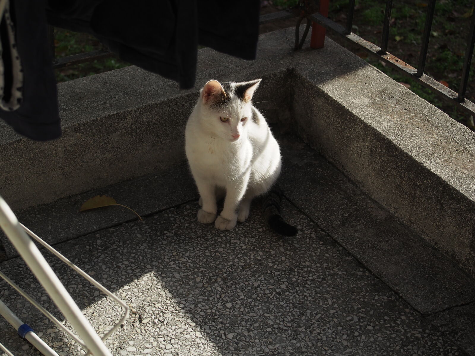 Olympus OM-D E-M5 sample photo