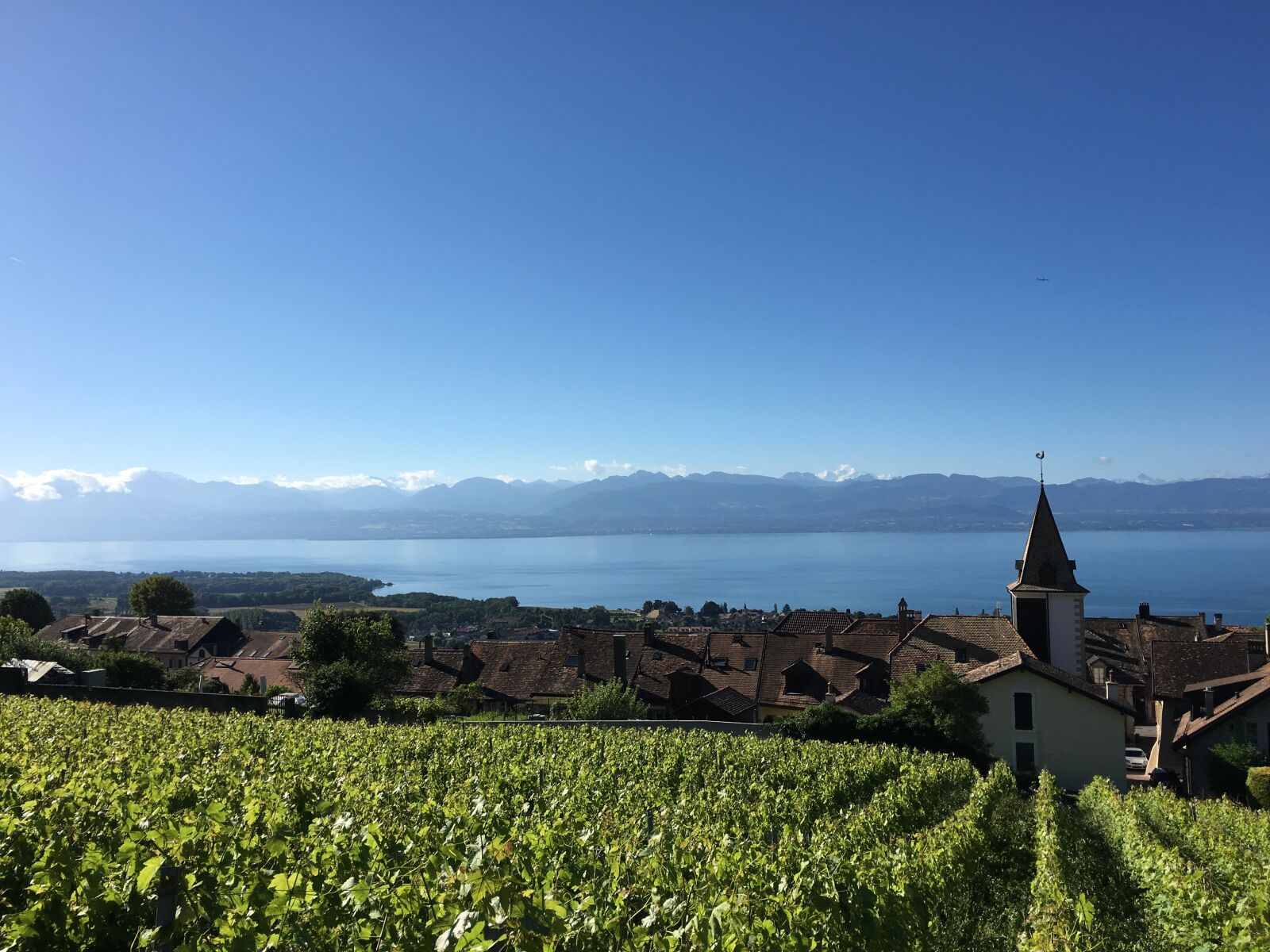 Apple iPhone 6s sample photo. Bougy-villars, vines, lake geneva photography
