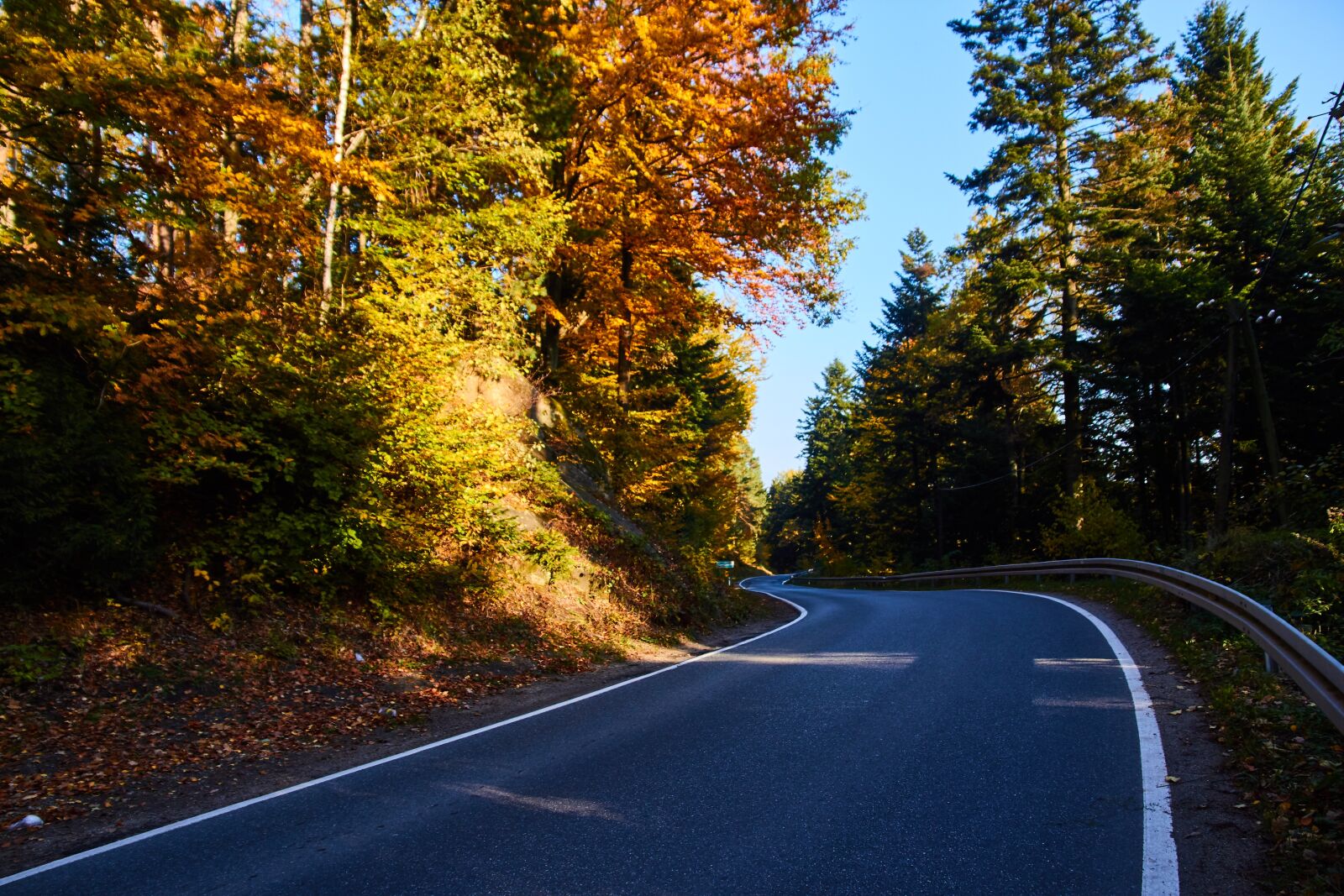 Canon EOS 60D sample photo. Way, autumn, forest photography