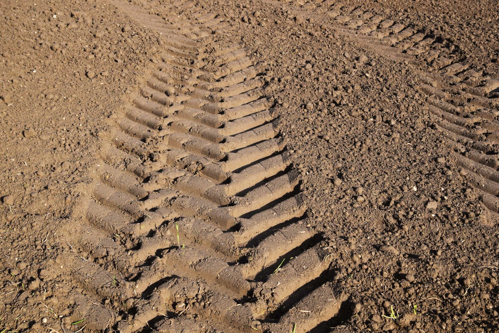 Nikon D3300 sample photo. Ground, texture, pattern, field photography
