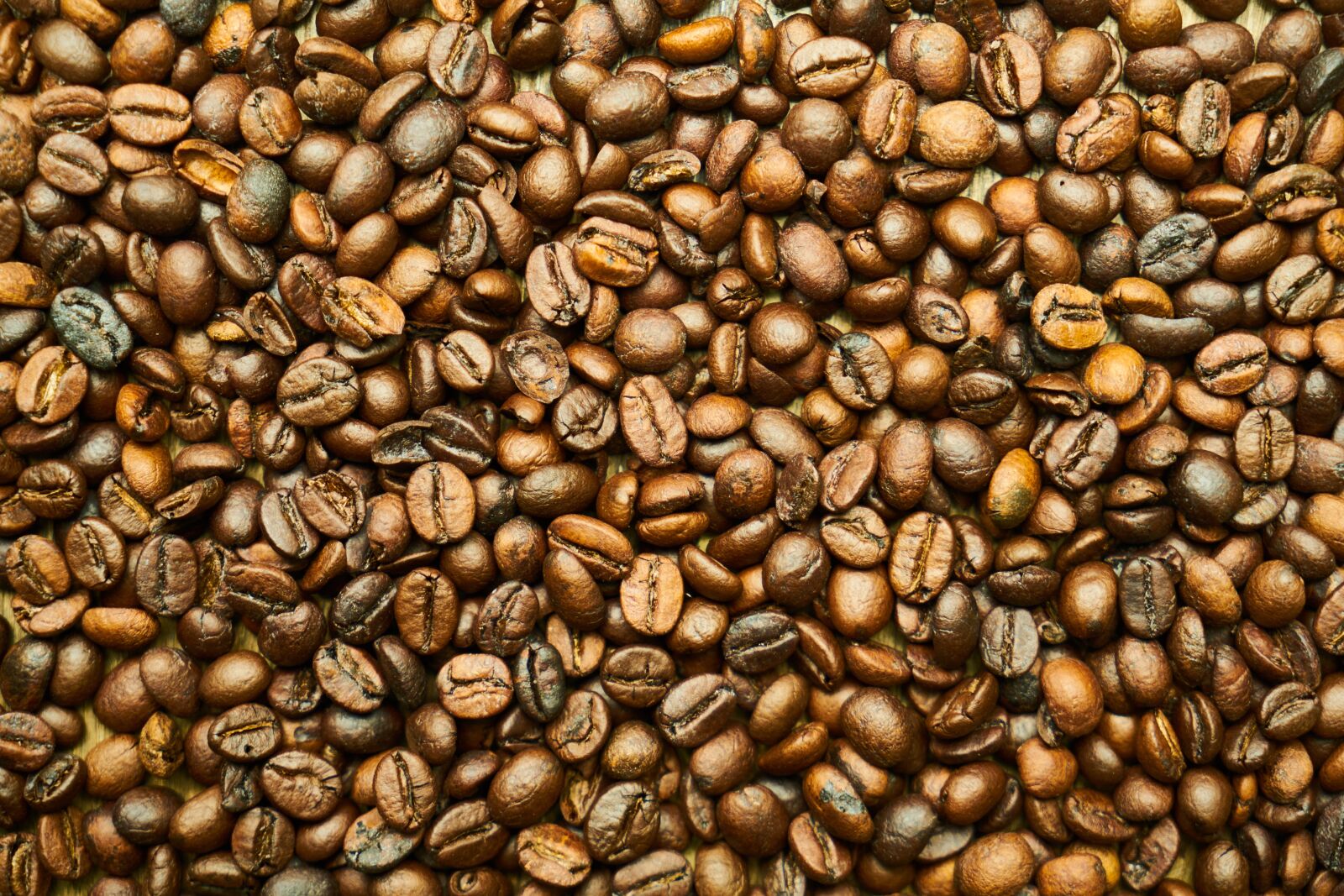 Sony a7R II sample photo. Core, coffee, food photography
