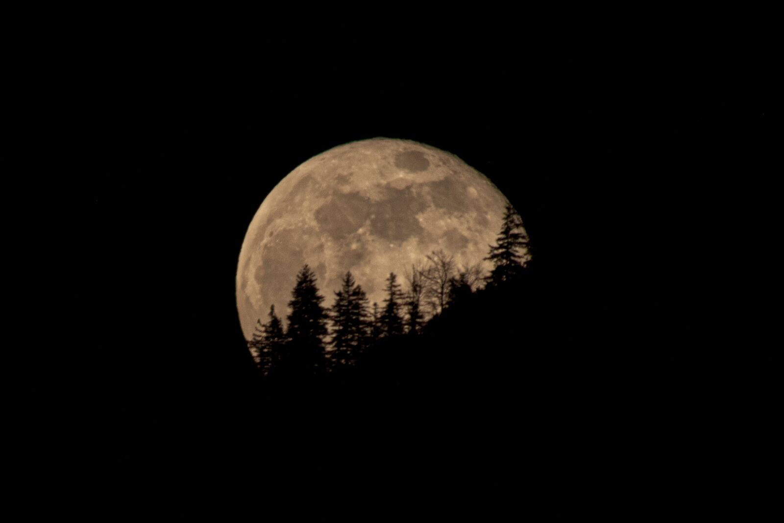 Leica CL sample photo. Moon, super moon, full photography