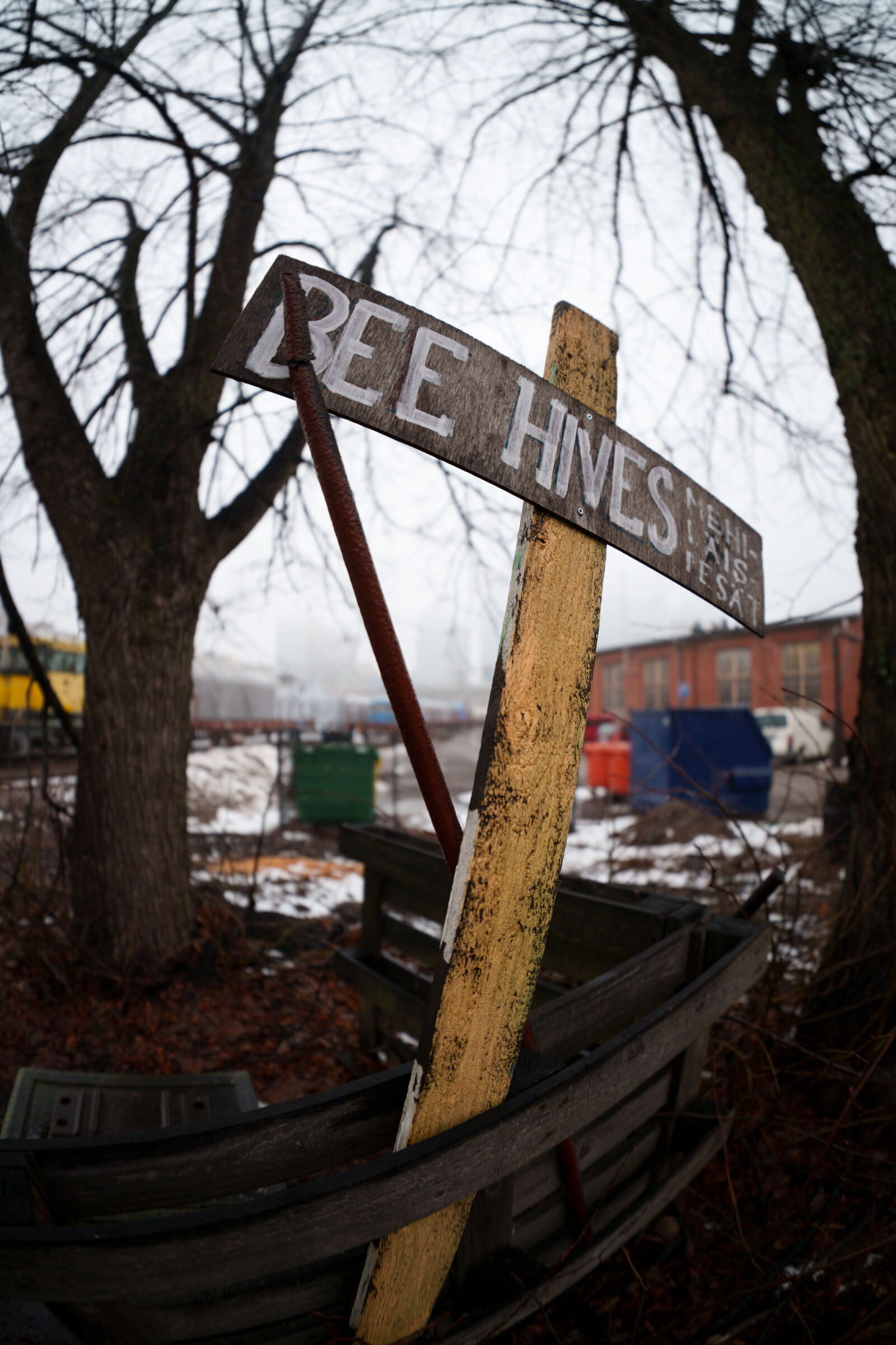 Sony a7R V sample photo. Fisheye bee hives photography