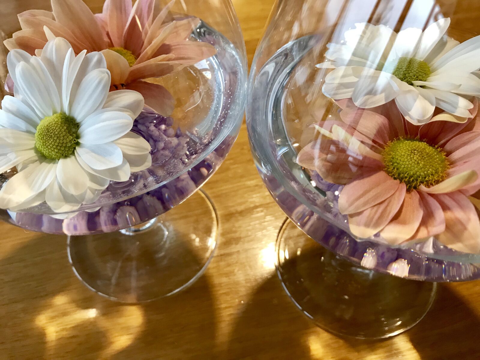 Apple iPhone 7 sample photo. Flowers, decoration, live flowers photography