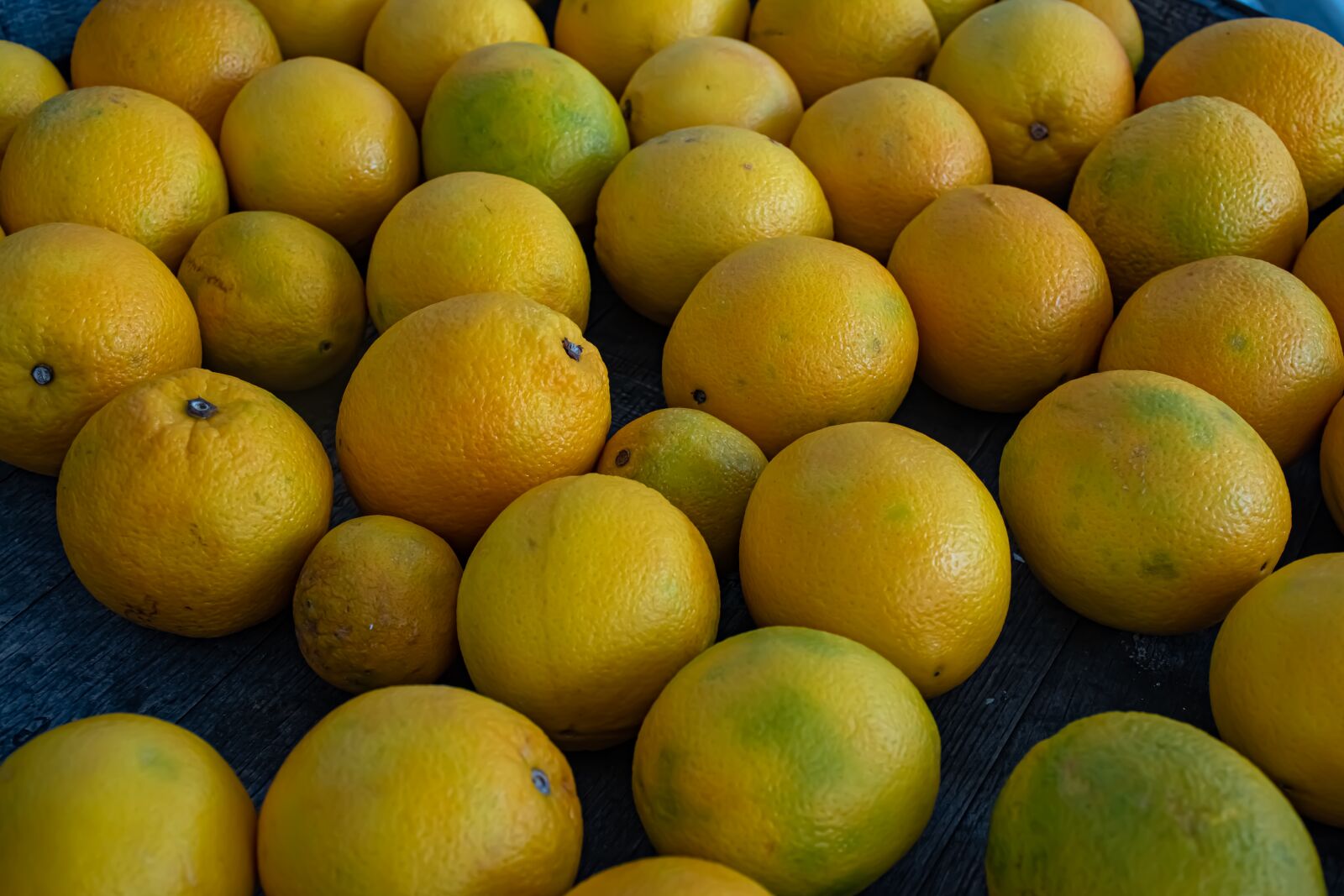 Nikon D5600 sample photo. Citrus, lemons, vitamins photography