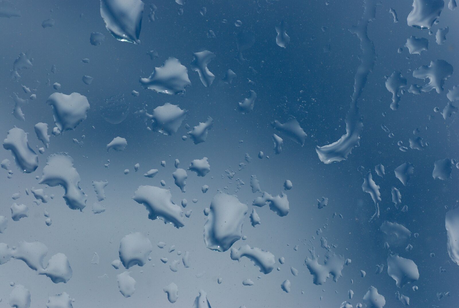 Nikon D80 sample photo. Drop of water, disc photography