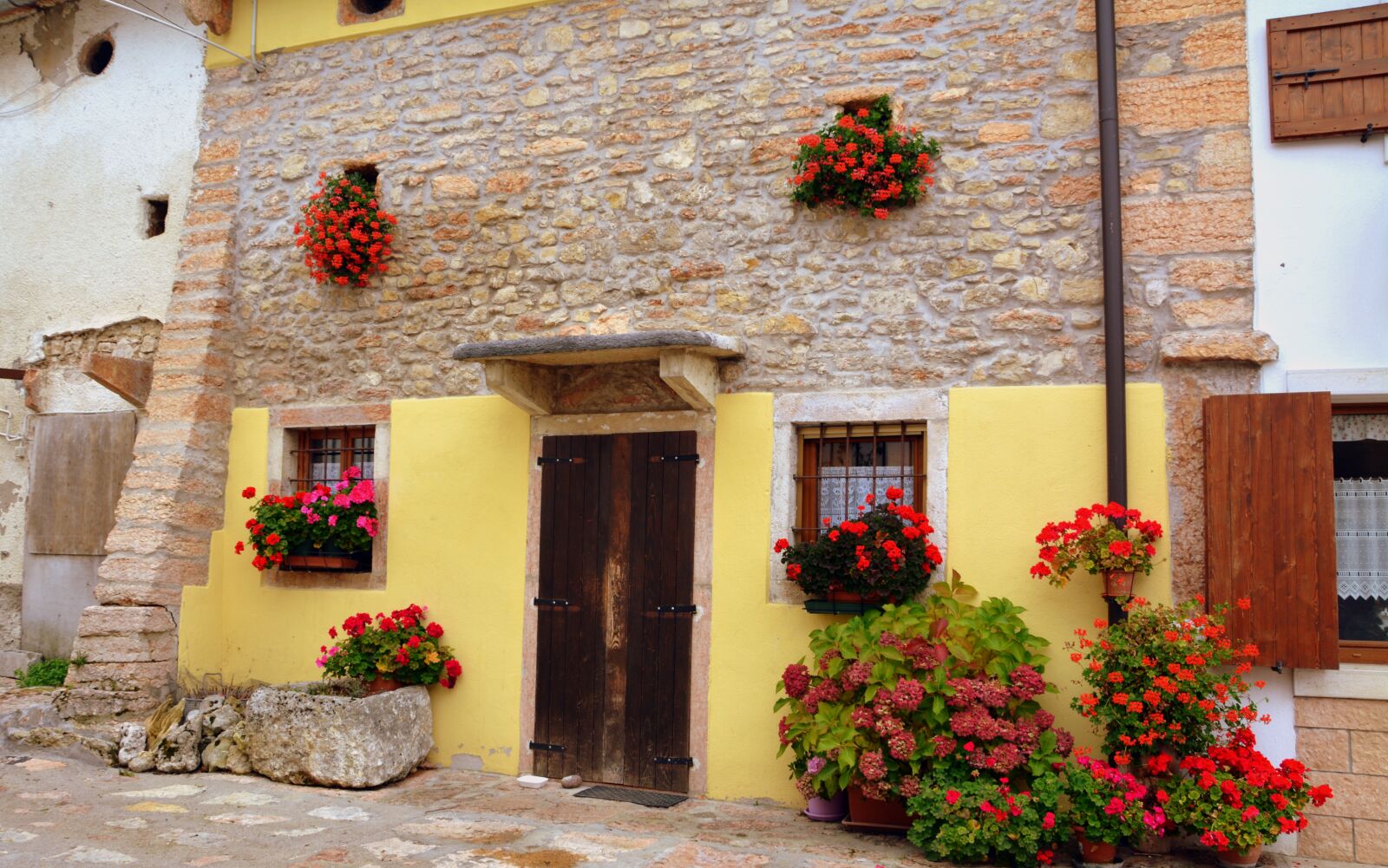 Nikon D7100 sample photo. Facade, flowers, windows photography