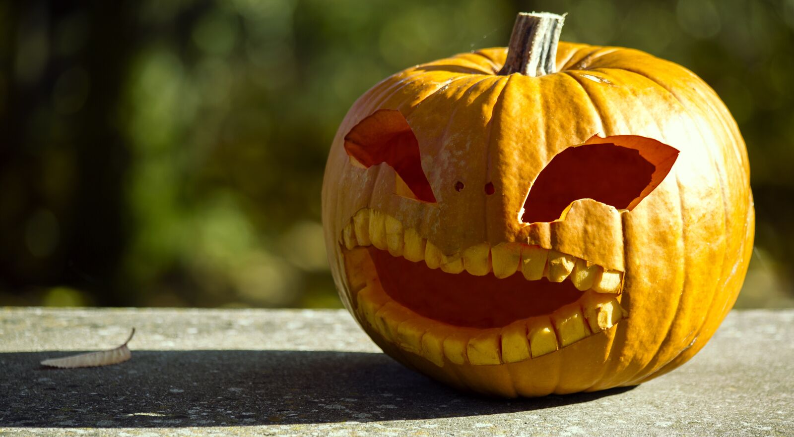 Canon EF 70-300mm F4-5.6 IS USM sample photo. Halloween, pumpkin, halloweenkuerbis photography
