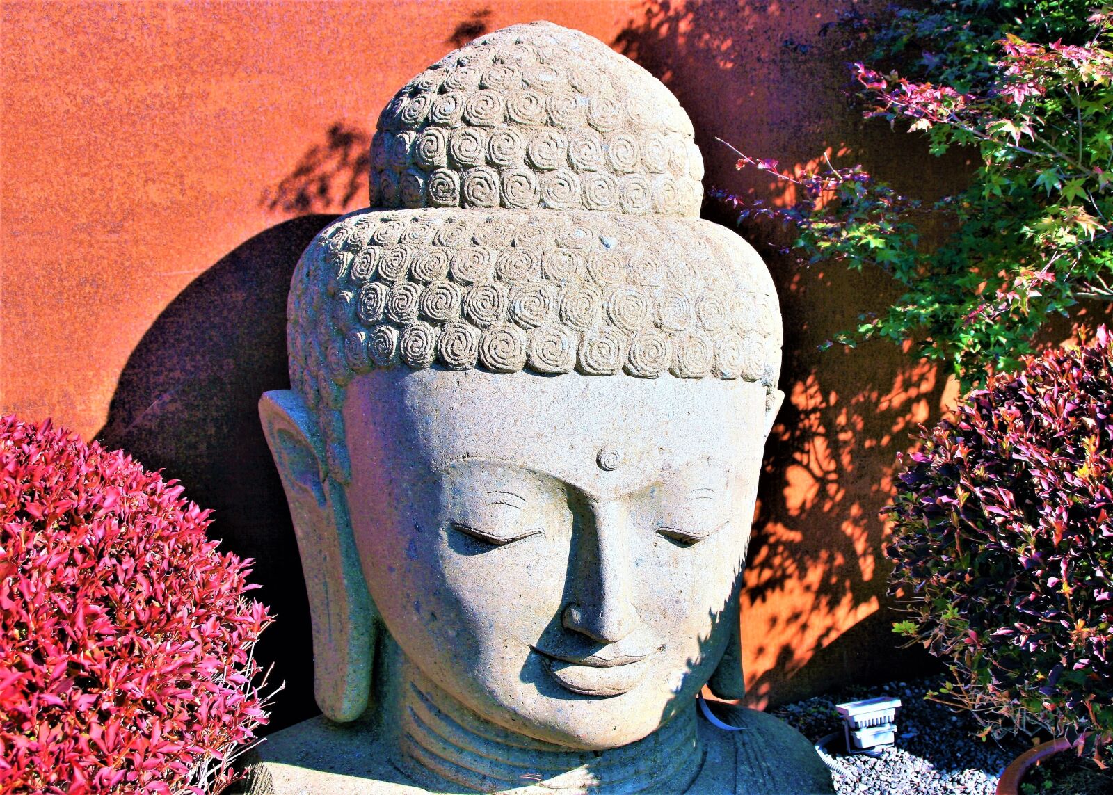 Canon EOS 400D (EOS Digital Rebel XTi / EOS Kiss Digital X) sample photo. Buddha, zen, autumn photography