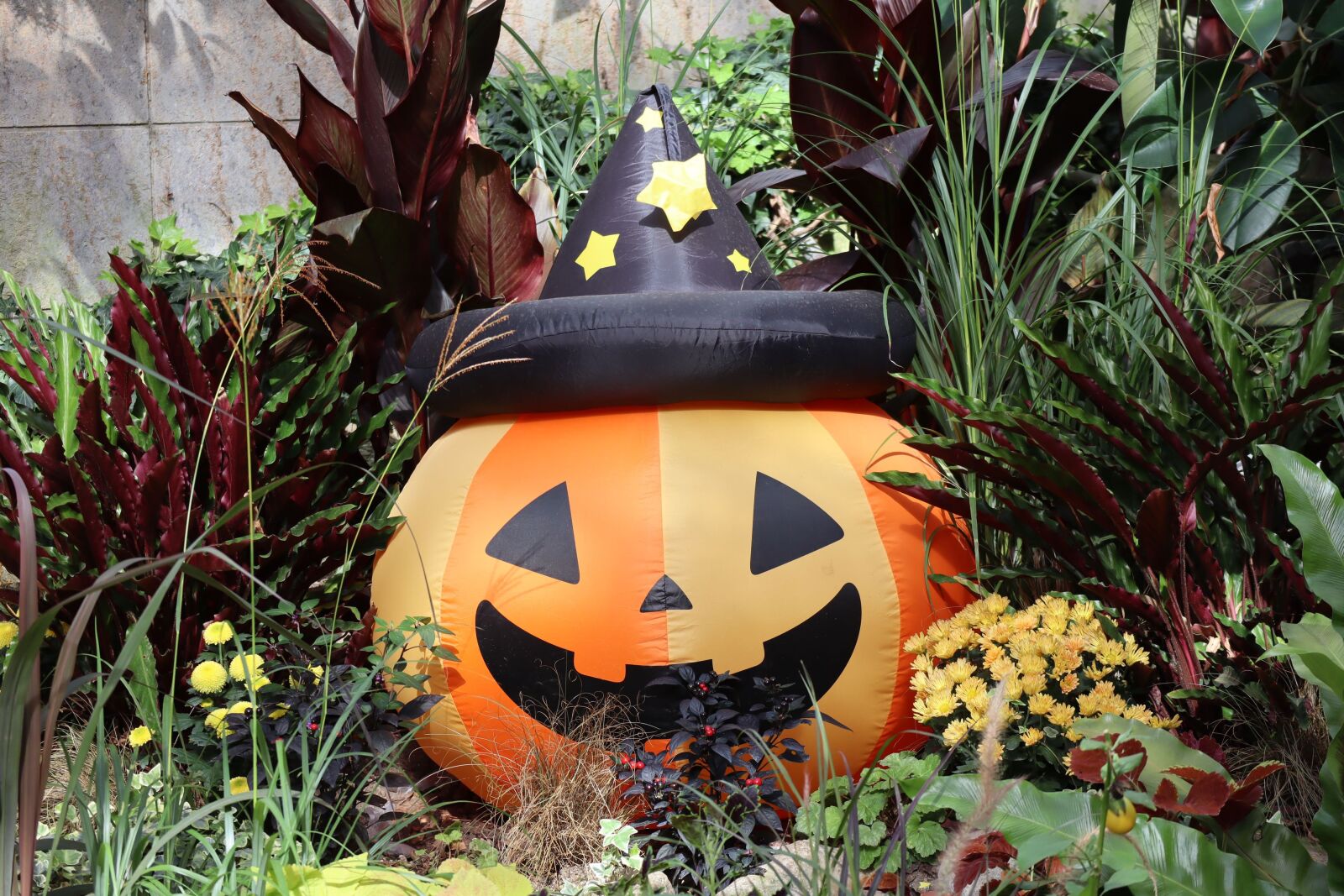Canon EOS M50 (EOS Kiss M) sample photo. Halloween, decoration, flower bed photography