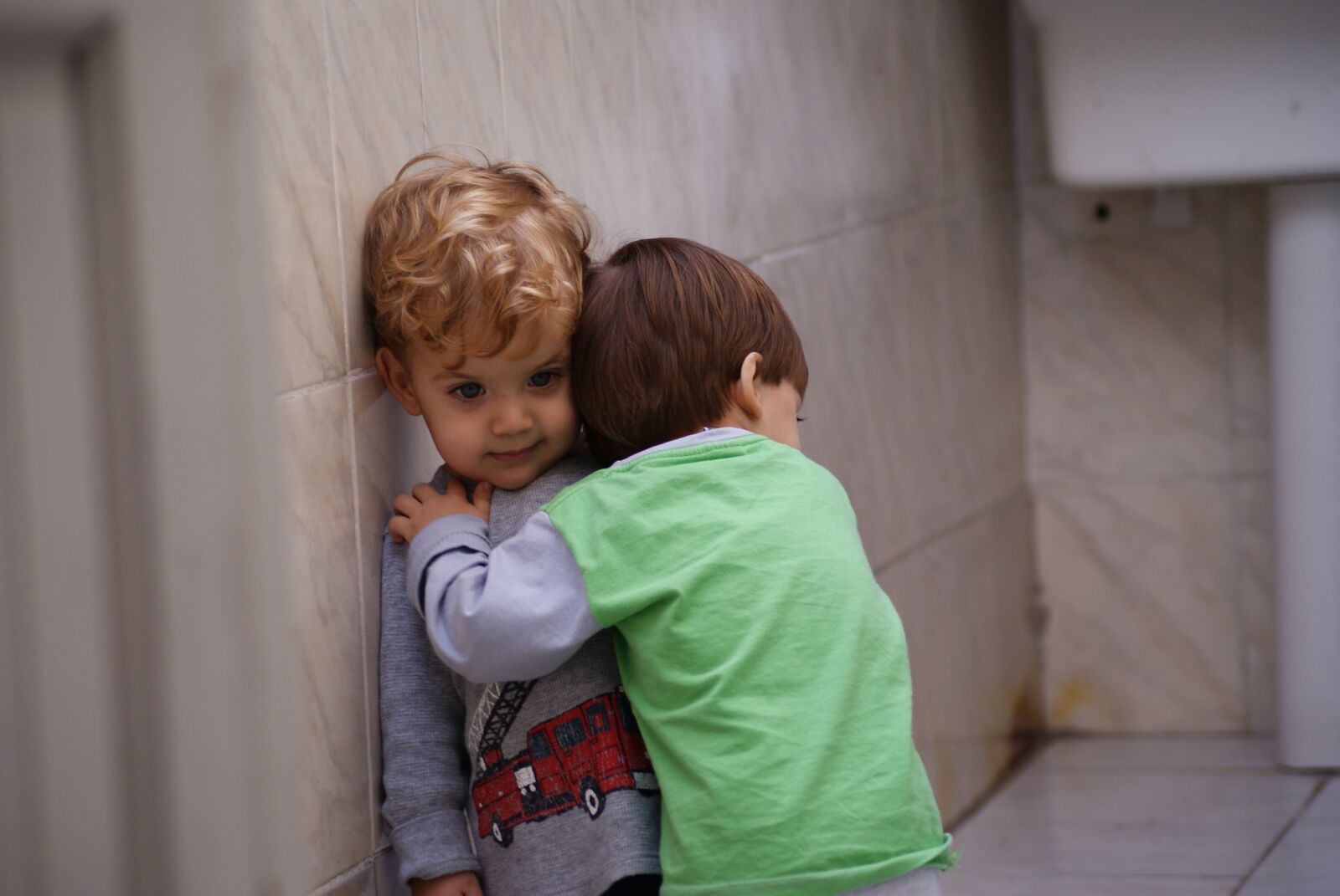 Sony Alpha DSLR-A300 sample photo. Hug, brother, child photography