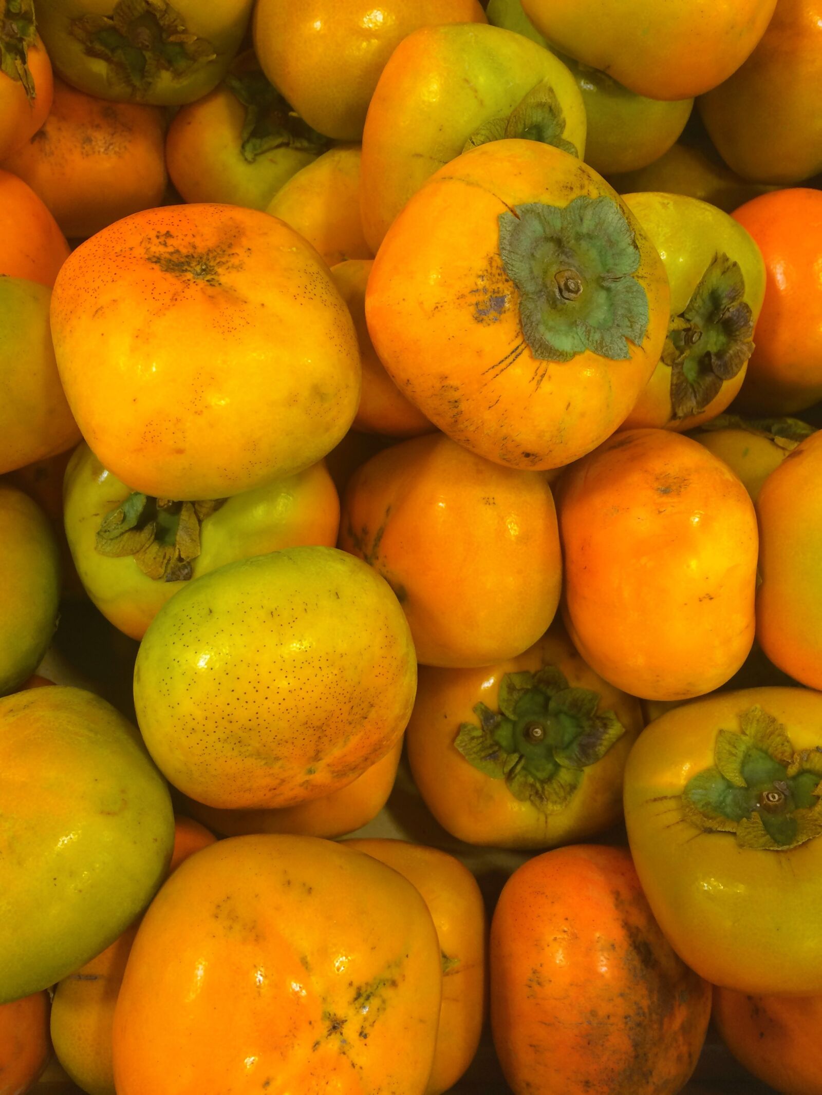 Apple iPhone 5s sample photo. Persimmon, fruit, autumn photography