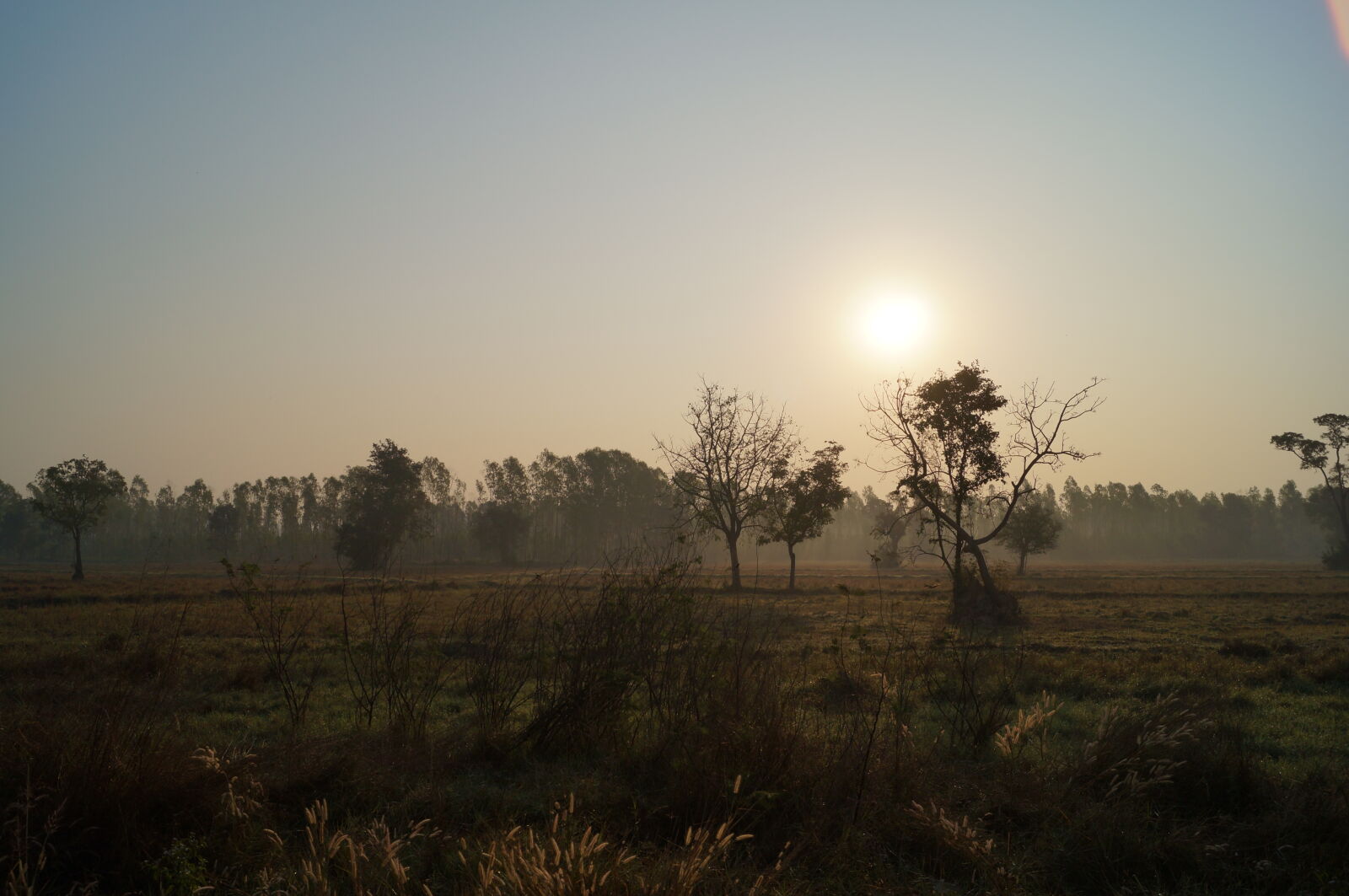 Sony SLT-A37 + Sony DT 18-55mm F3.5-5.6 SAM sample photo. Sunset photography