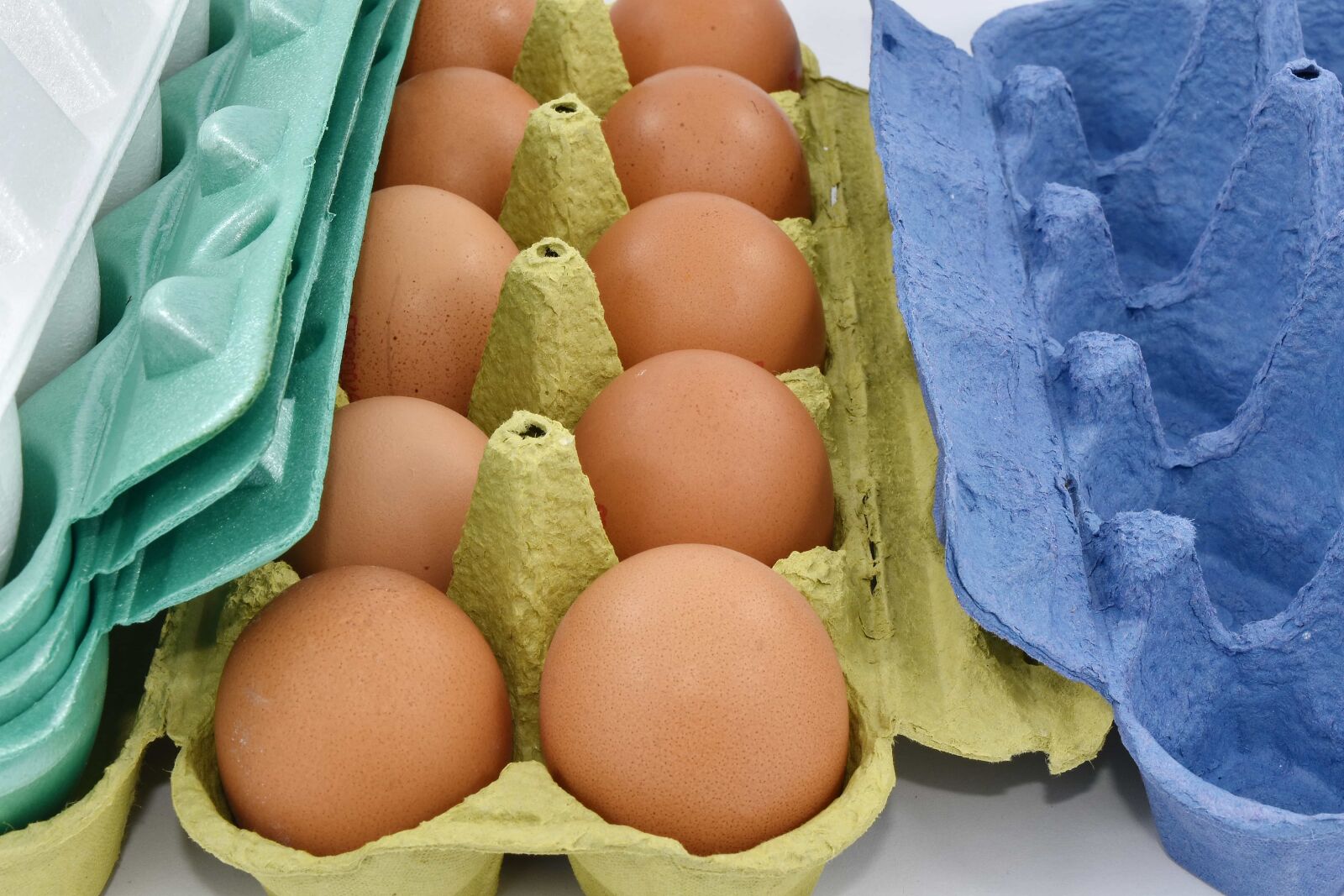 Nikon D5500 sample photo. Cardboard, egg, egg box photography