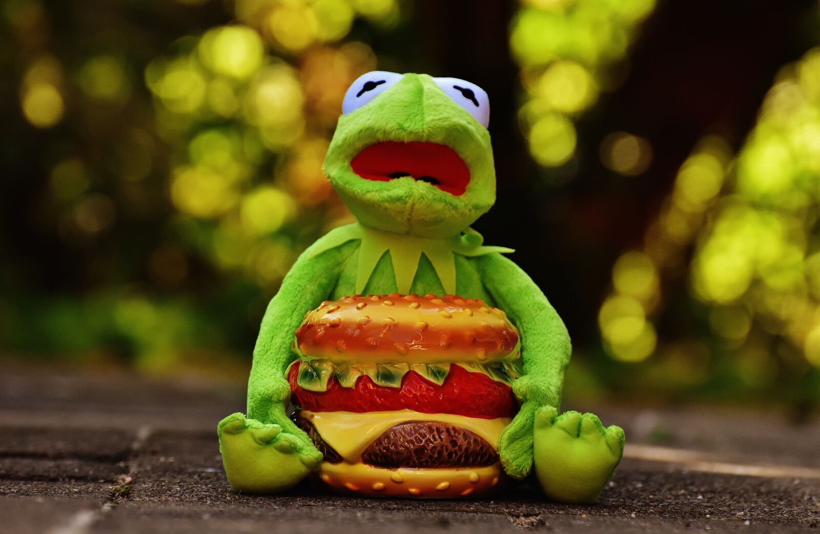 Nikon D7200 sample photo. Kermit, frog, cheeseburger photography