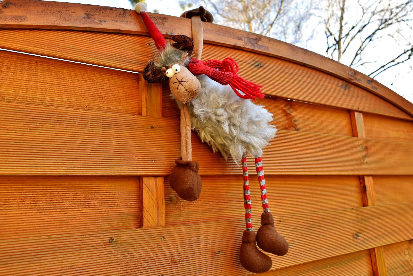 Nikon D7200 sample photo. Moose, christmas, santa hat photography