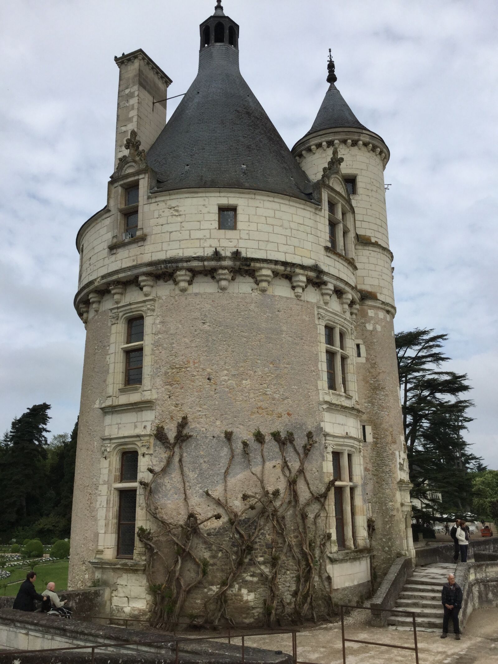 iPad Air 2 back camera 3.3mm f/2.4 sample photo. Castle, medieval, chenonceau photography