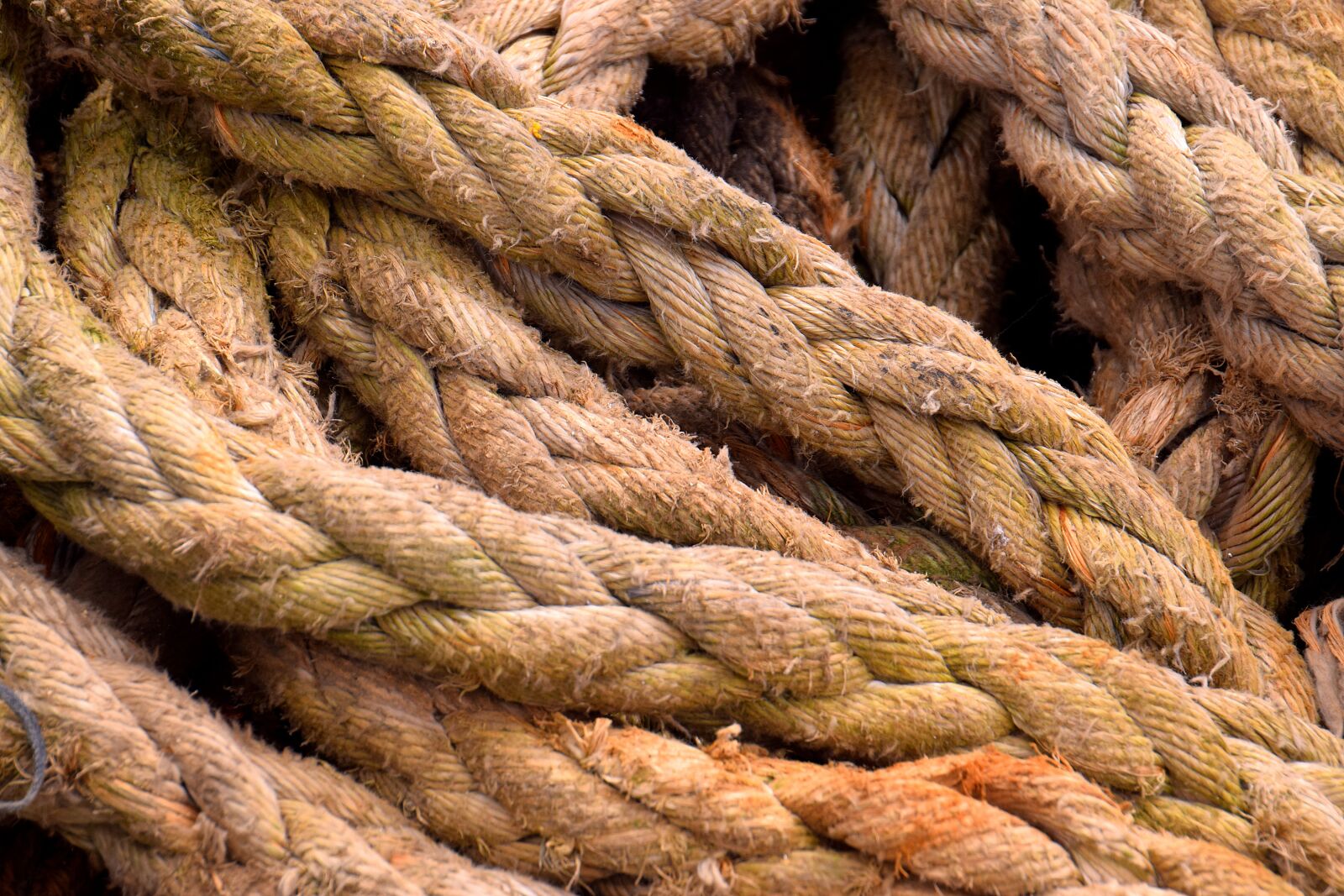 Nikon D3300 sample photo. Rope, fishing, hawser photography