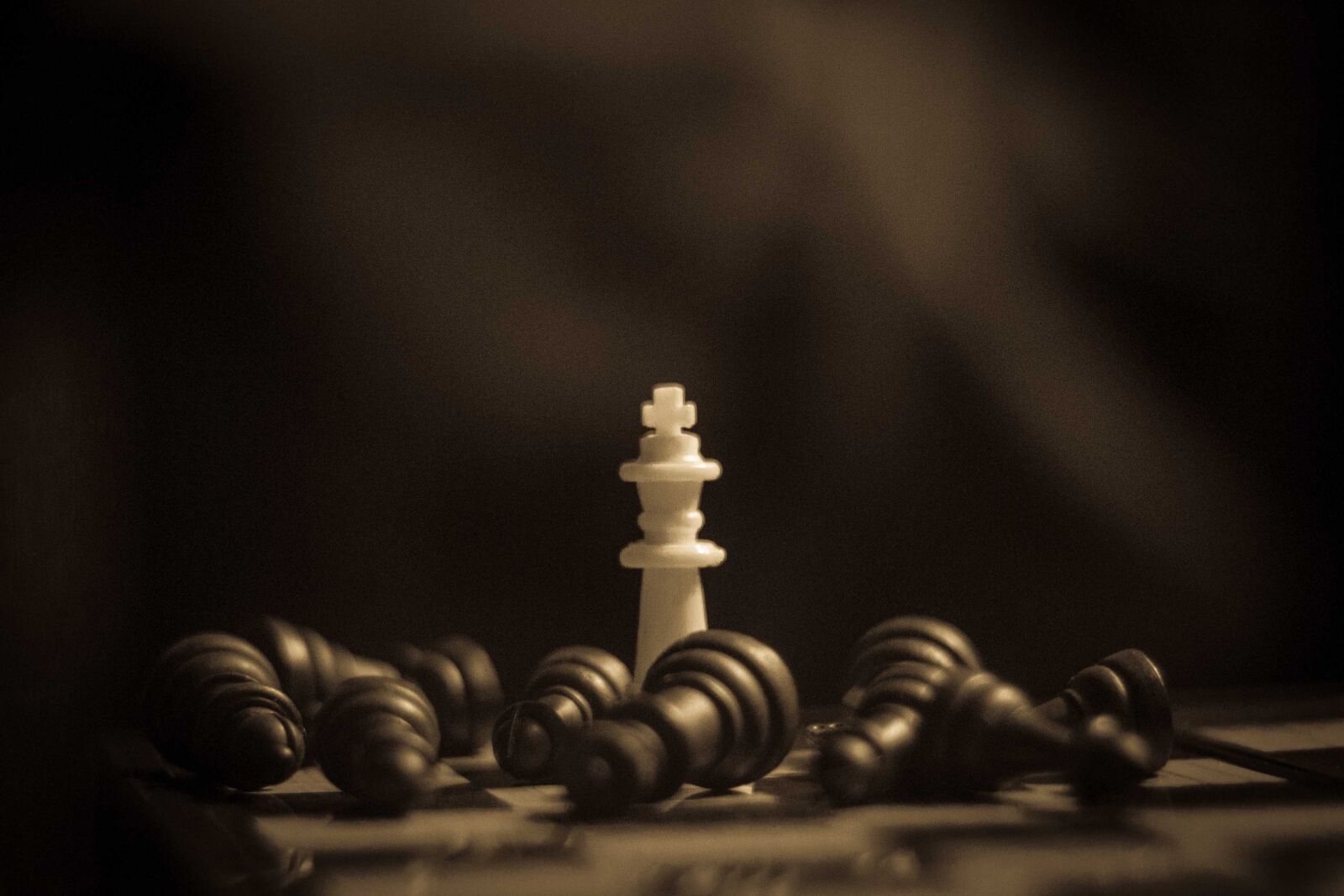 Canon EF 50mm F1.8 II sample photo. Chess, king, power, victory photography