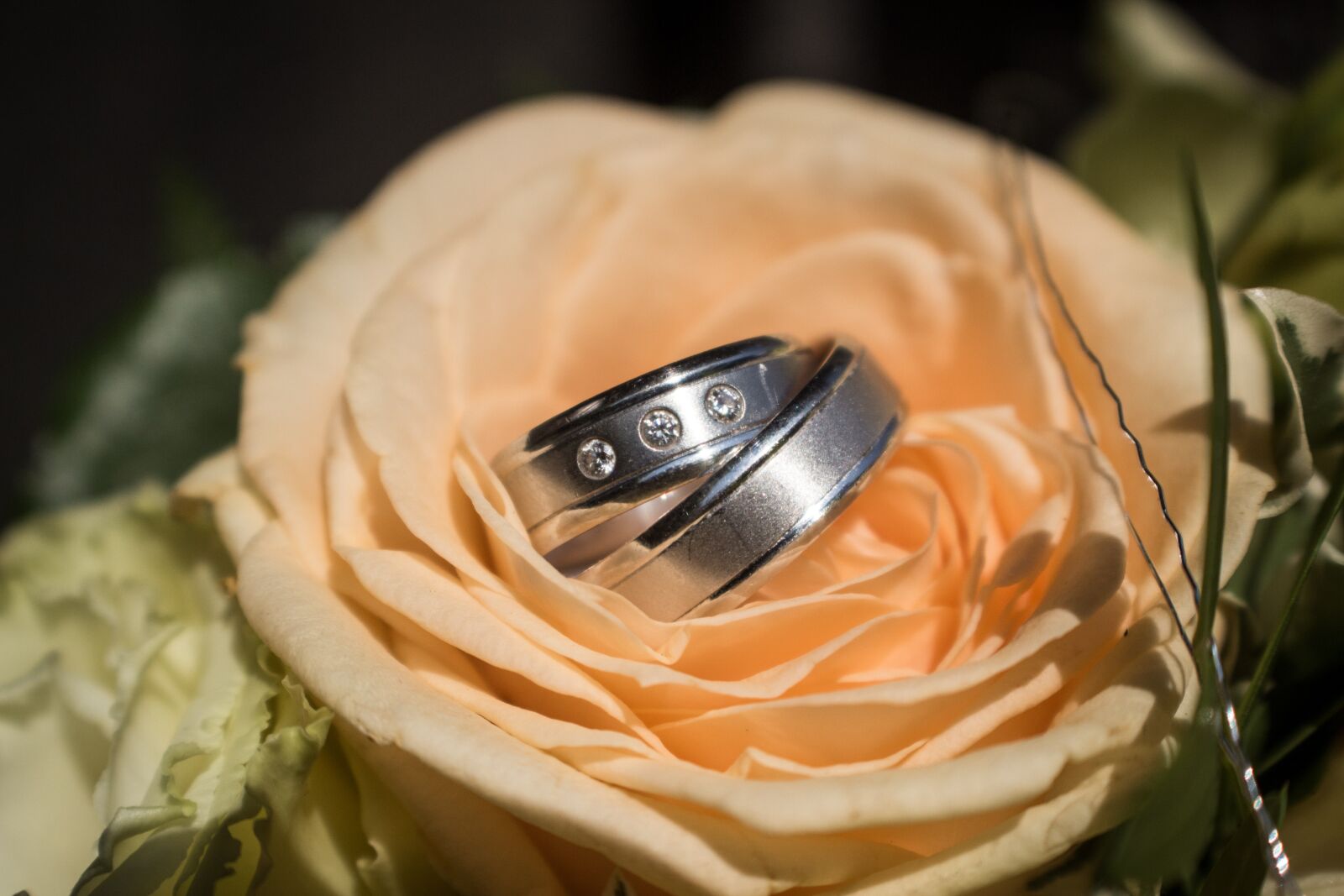Canon EOS 700D (EOS Rebel T5i / EOS Kiss X7i) sample photo. Rings, wedding, bride photography