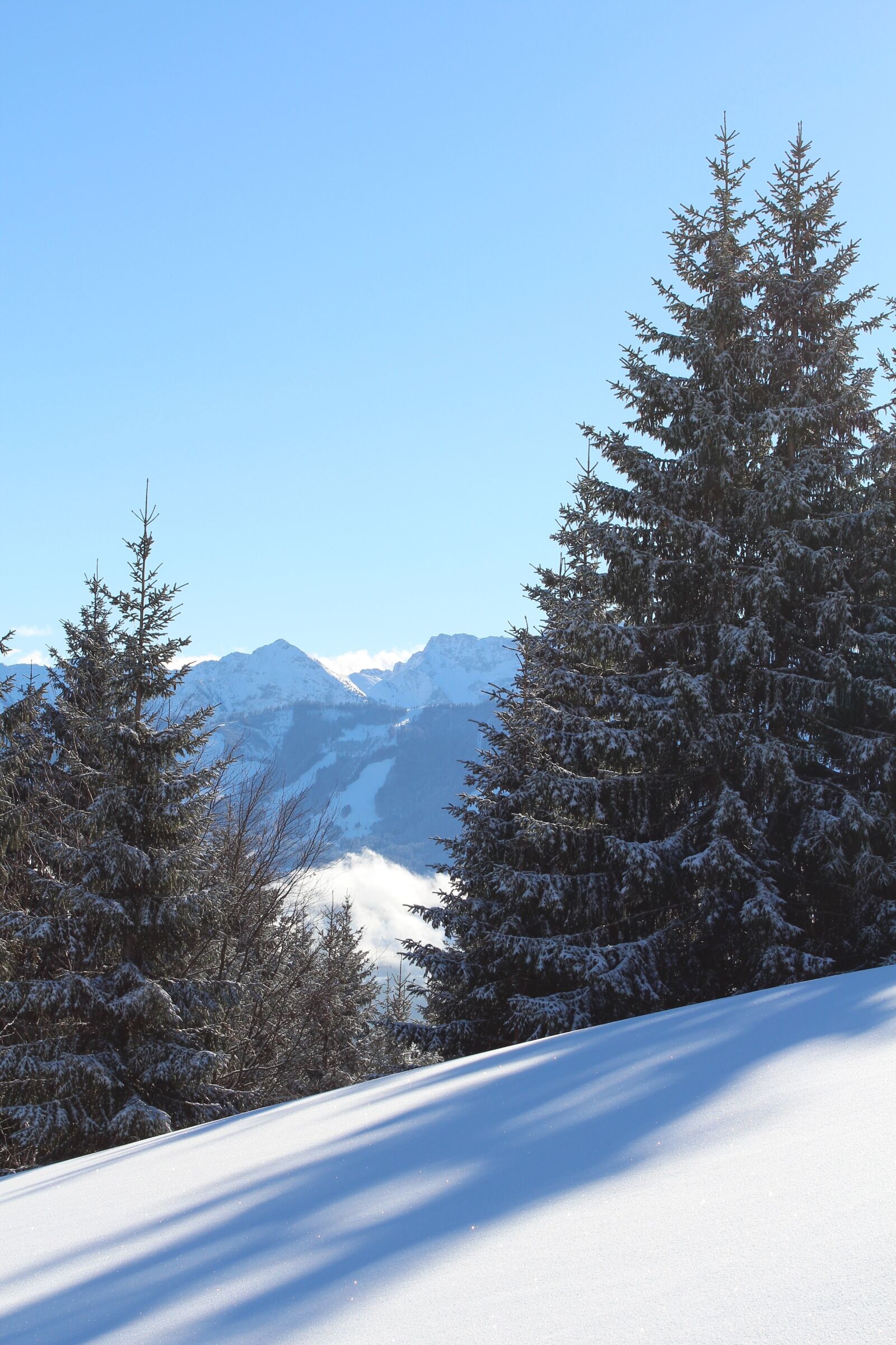 Canon EOS 650D (EOS Rebel T4i / EOS Kiss X6i) sample photo. Wintry, snow, allgäu photography