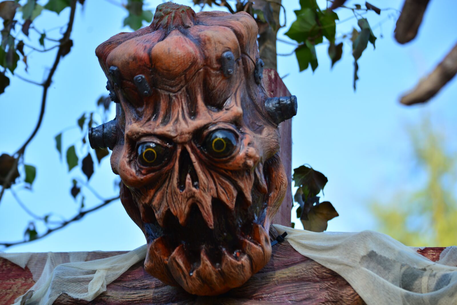 Nikon D610 sample photo. Halloween, pumpkin, look photography