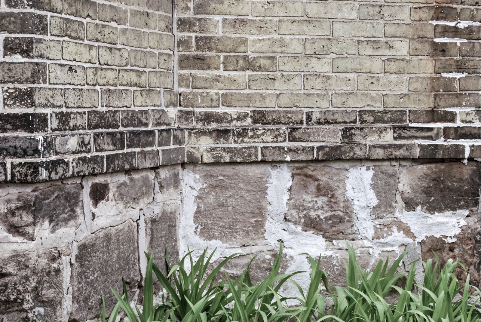 Nikon D60 sample photo. Backdrop, wall, brick photography