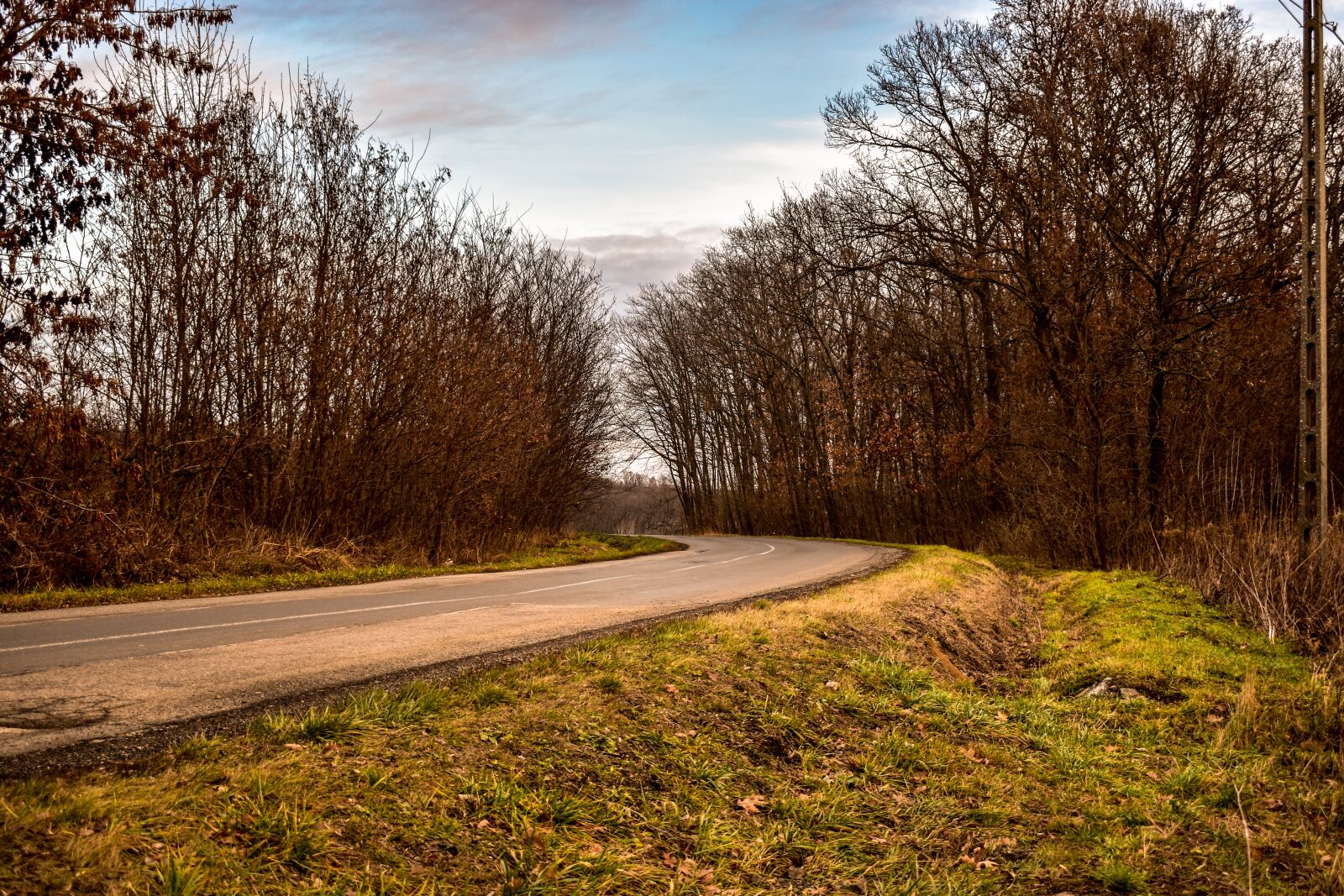 Nikon D5600 sample photo. Road, winding road, fall photography