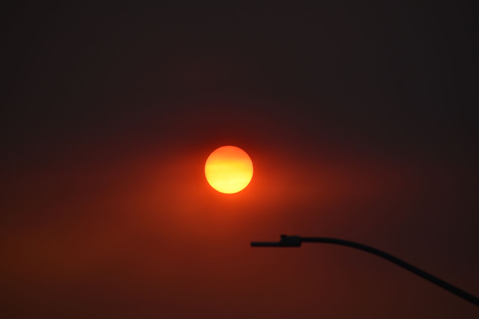 Nikon D3500 sample photo. Sun, heat wave, summer photography