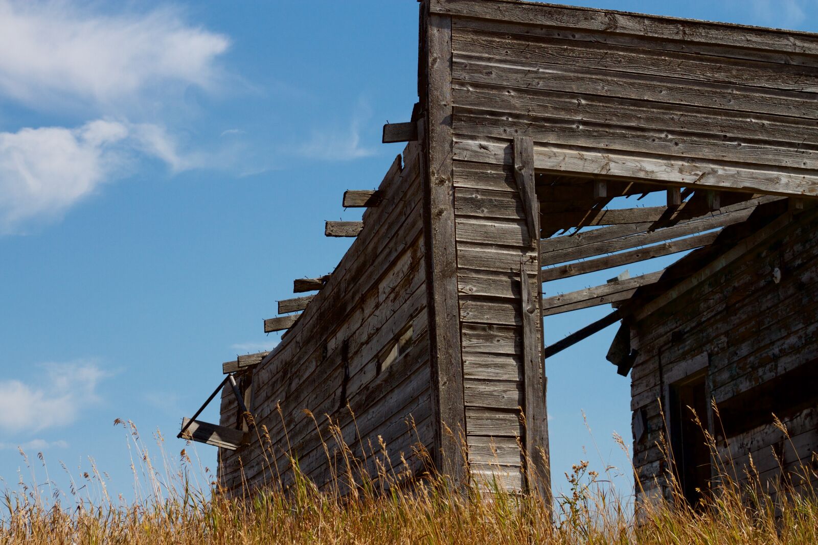 Canon EOS 7D + Canon EF 50mm F1.8 STM sample photo. Sky, wooden, landscape photography