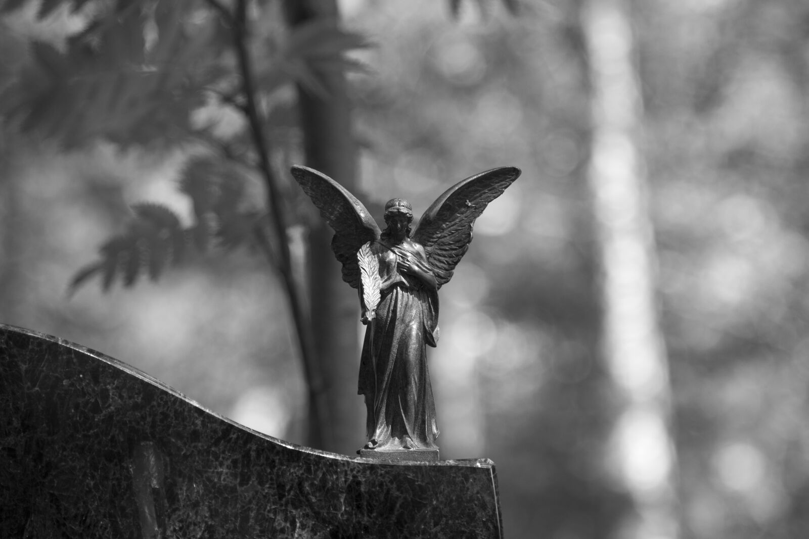 Canon EOS 70D + Canon EF 24-105mm F4L IS USM sample photo. Grayscale, cemetery, statue photography