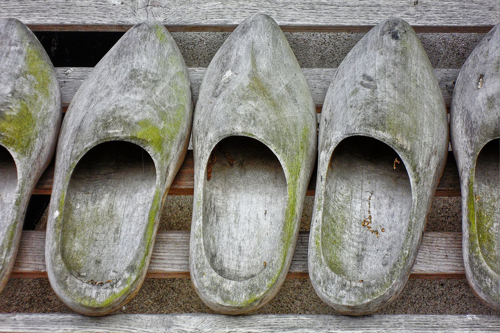 Samsung WB1000 / VLUU WB1000 /  TL320 sample photo. Shoes, wooden shoes, garden photography