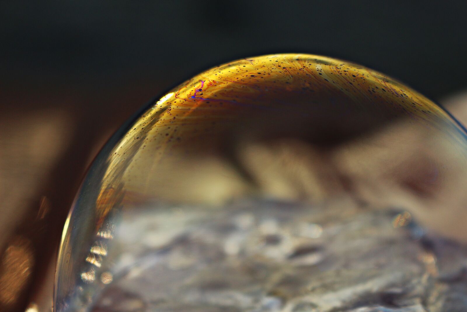 Canon EOS 100D (EOS Rebel SL1 / EOS Kiss X7) sample photo. Soap bubble, ice, colorful photography