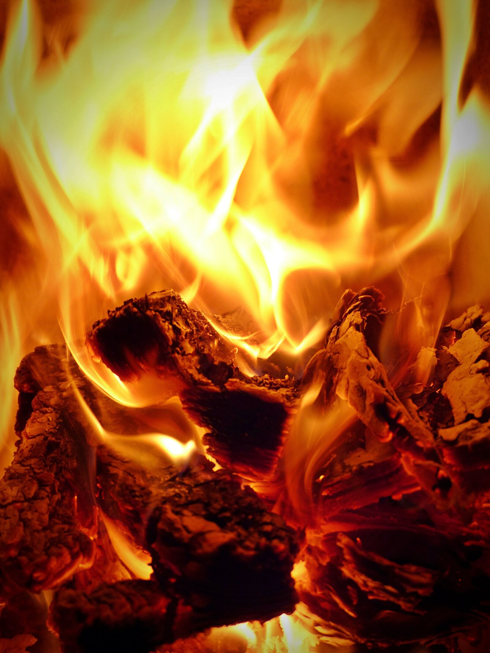 Panasonic Lumix DMC-FZ200 sample photo. Fire, embers, flame photography