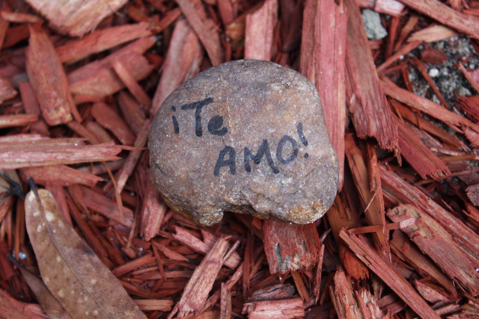 Canon EOS 650D (EOS Rebel T4i / EOS Kiss X6i) sample photo. Love, spanish, rock photography
