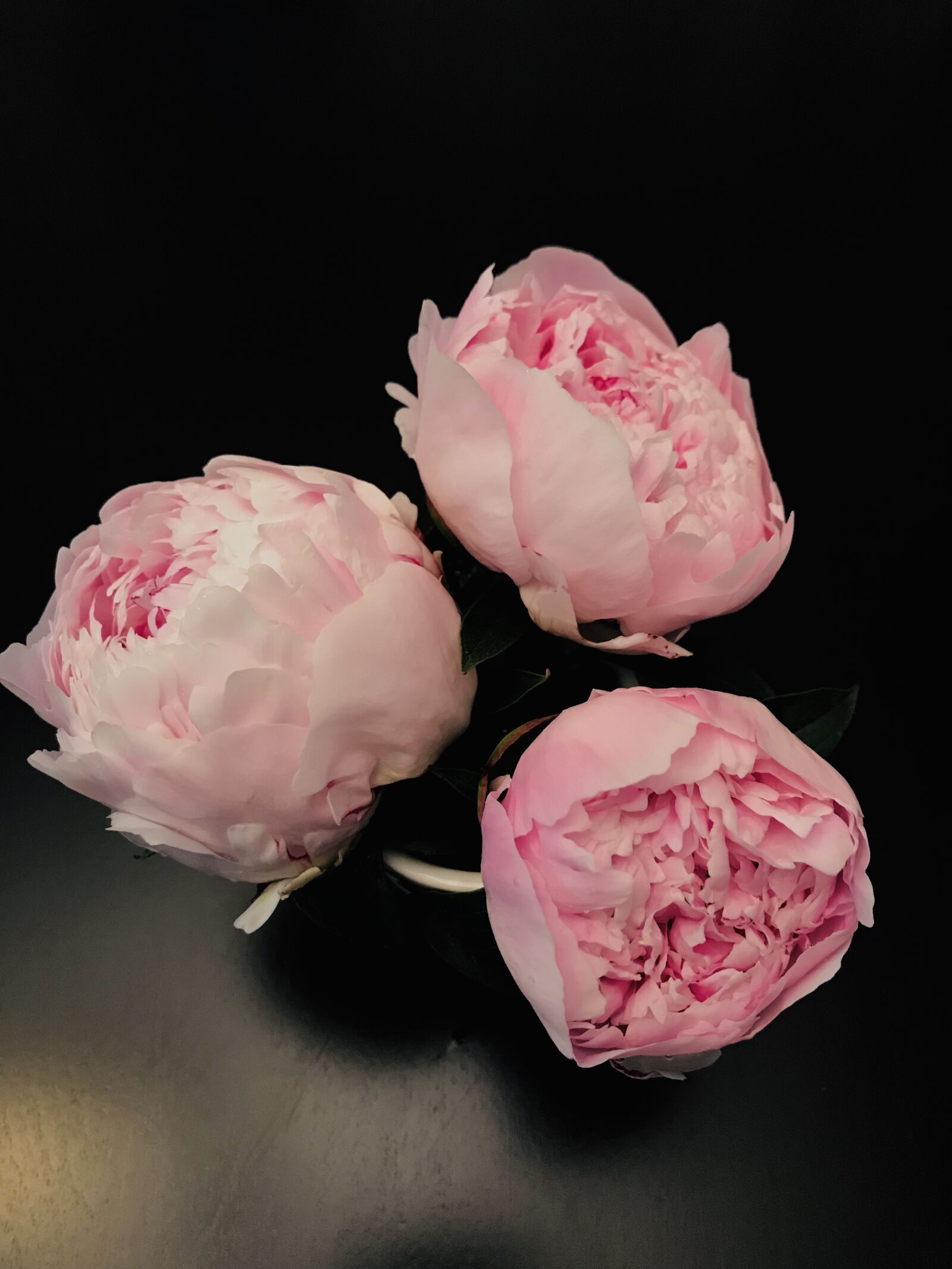 iPhone 7 Plus back dual camera 3.99mm f/1.8 sample photo. Peony, pink, blossom photography