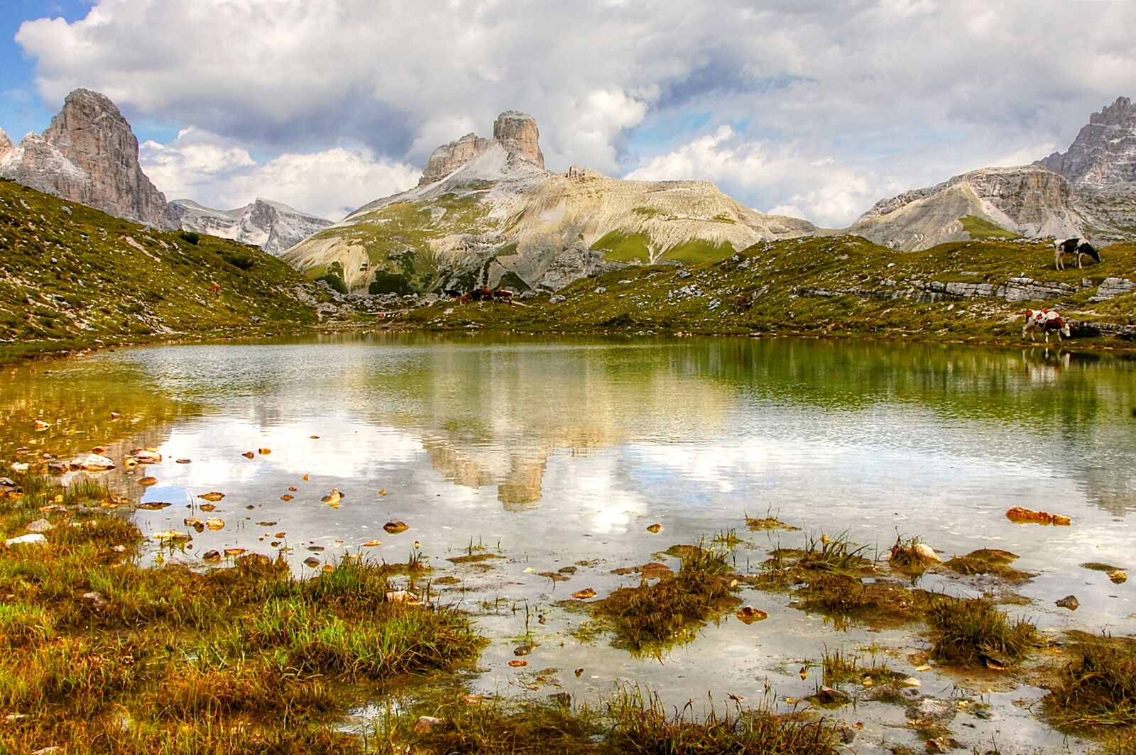 Nikon D40 sample photo. Zinnensee, dolomites, alm photography