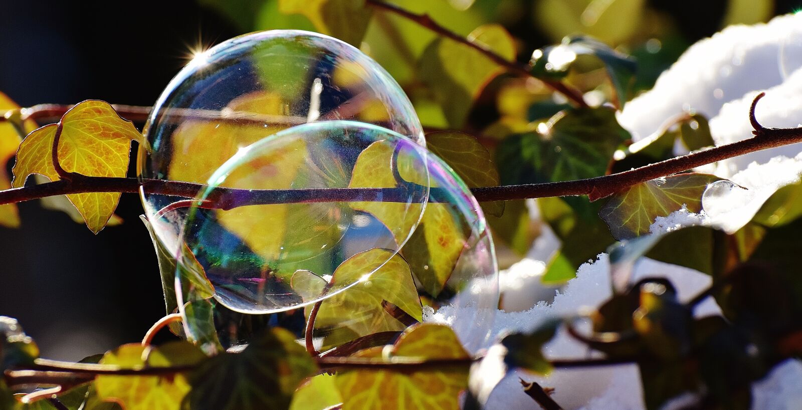 Nikon D7200 sample photo. Soap bubbles, winter, snow photography