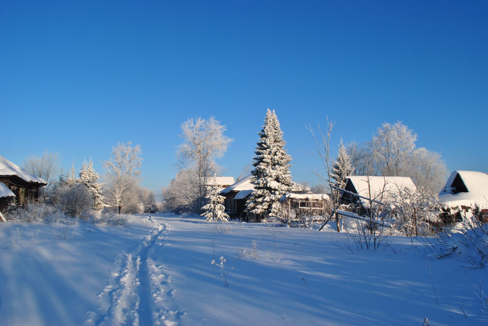 Nikon D3000 sample photo. Winter, snow, landscape photography