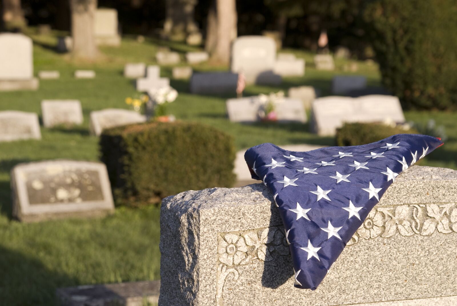 Nikon D40X sample photo. Veteran, cemetery, flag photography
