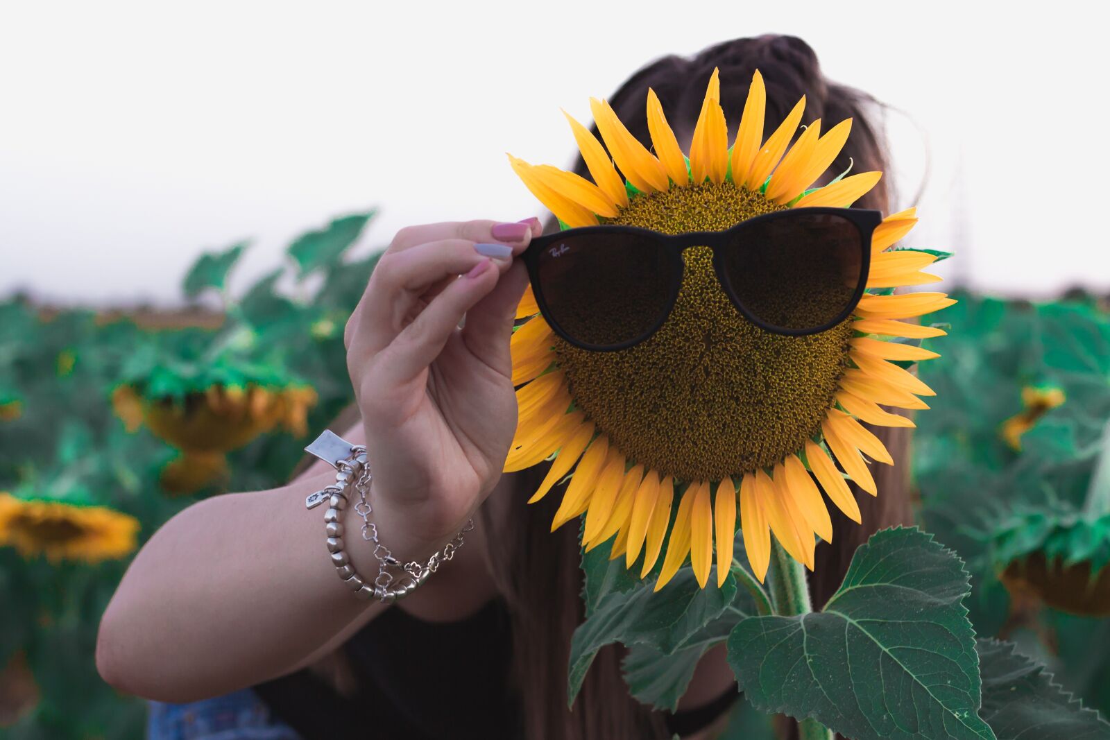 Canon EOS 600D (Rebel EOS T3i / EOS Kiss X5) sample photo. Sunflower, sunglasses, sun photography