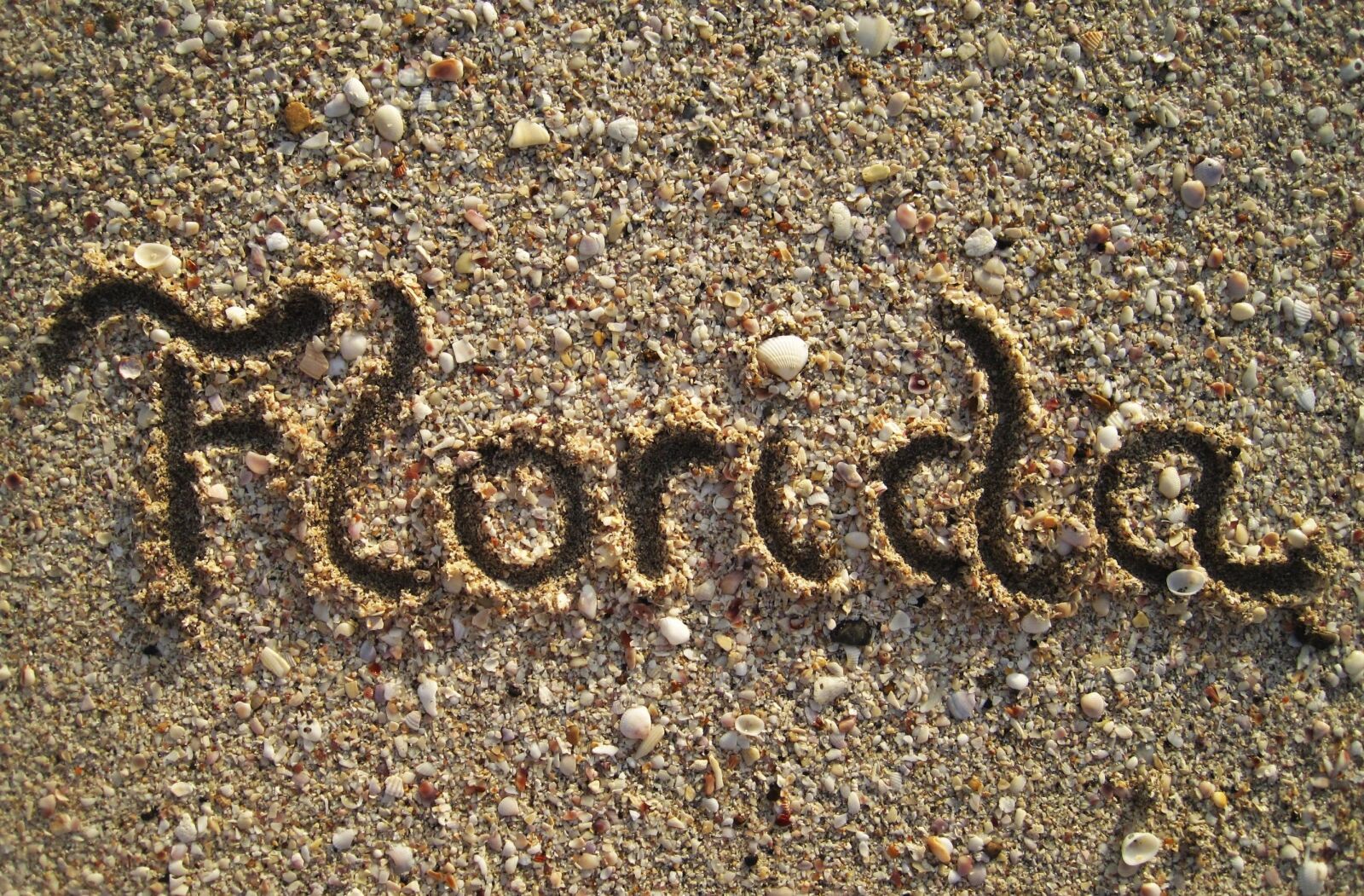 Canon PowerShot SD1200 IS (Digital IXUS 95 IS / IXY Digital 110 IS) sample photo. Florida, in sand painted photography