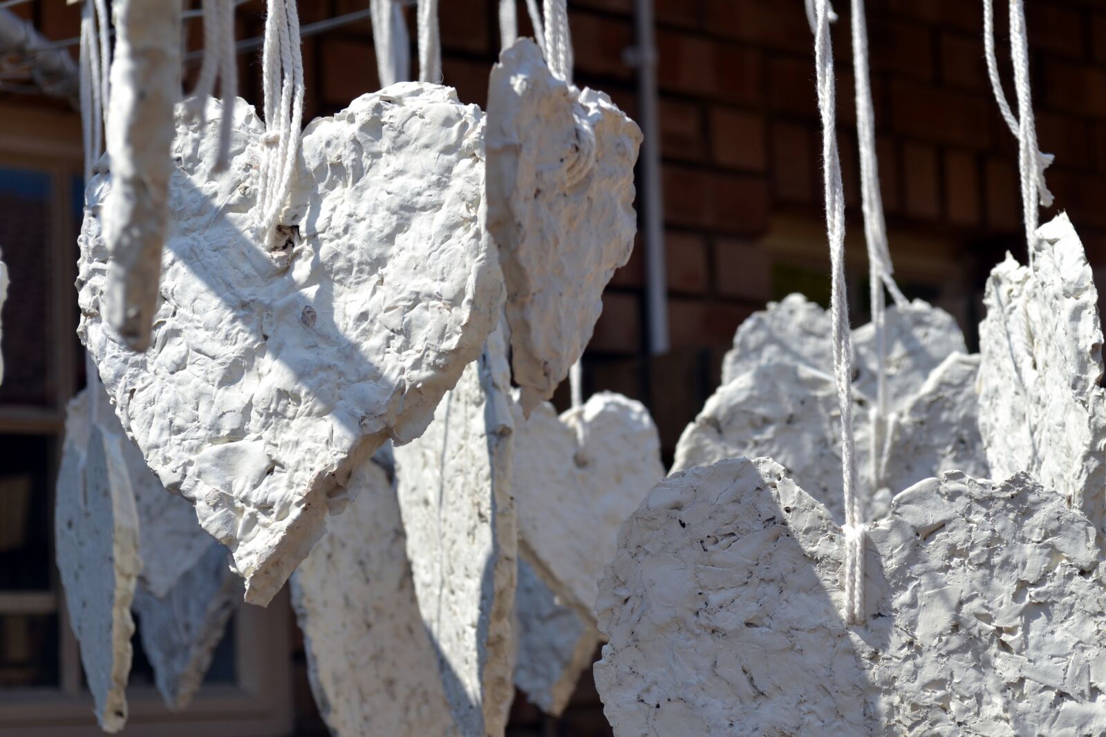 Nikon D3100 sample photo. Heart shapes, artistic, decoration photography
