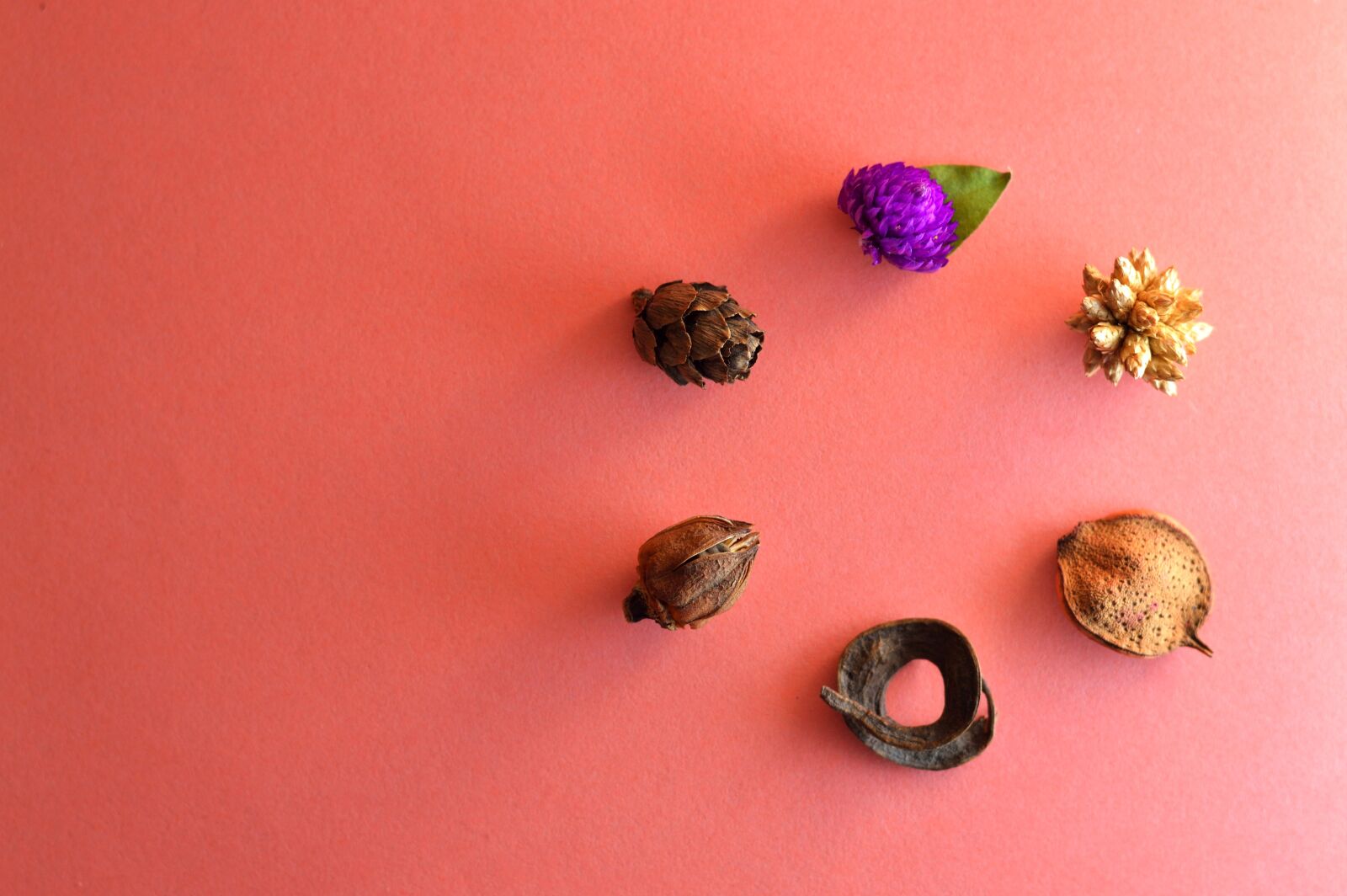 Nikon D3200 sample photo. Potpourri, dry, dehydrated photography