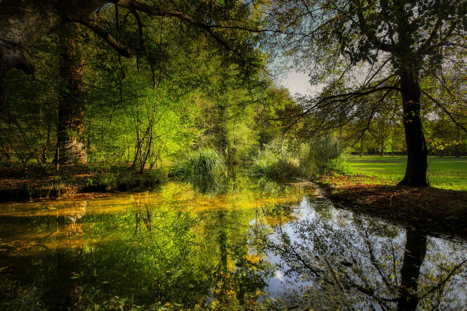 Panasonic Lumix DMC-GX8 sample photo. Pond, water, mirroring photography