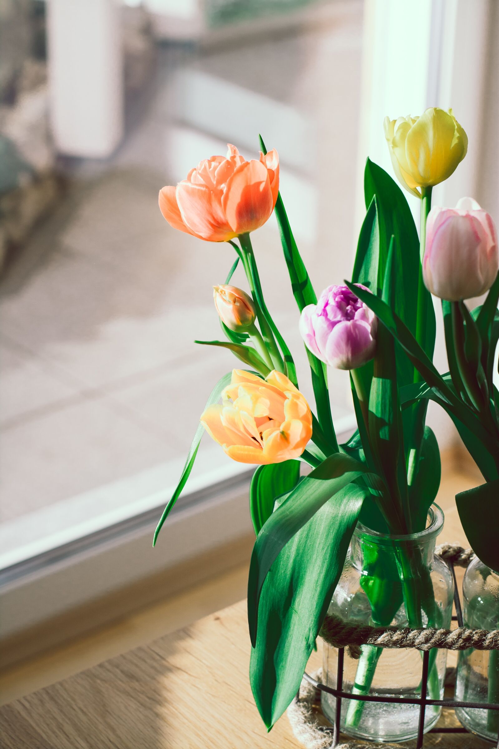 Nikon D7100 sample photo. Tulips, flowers, colorful photography
