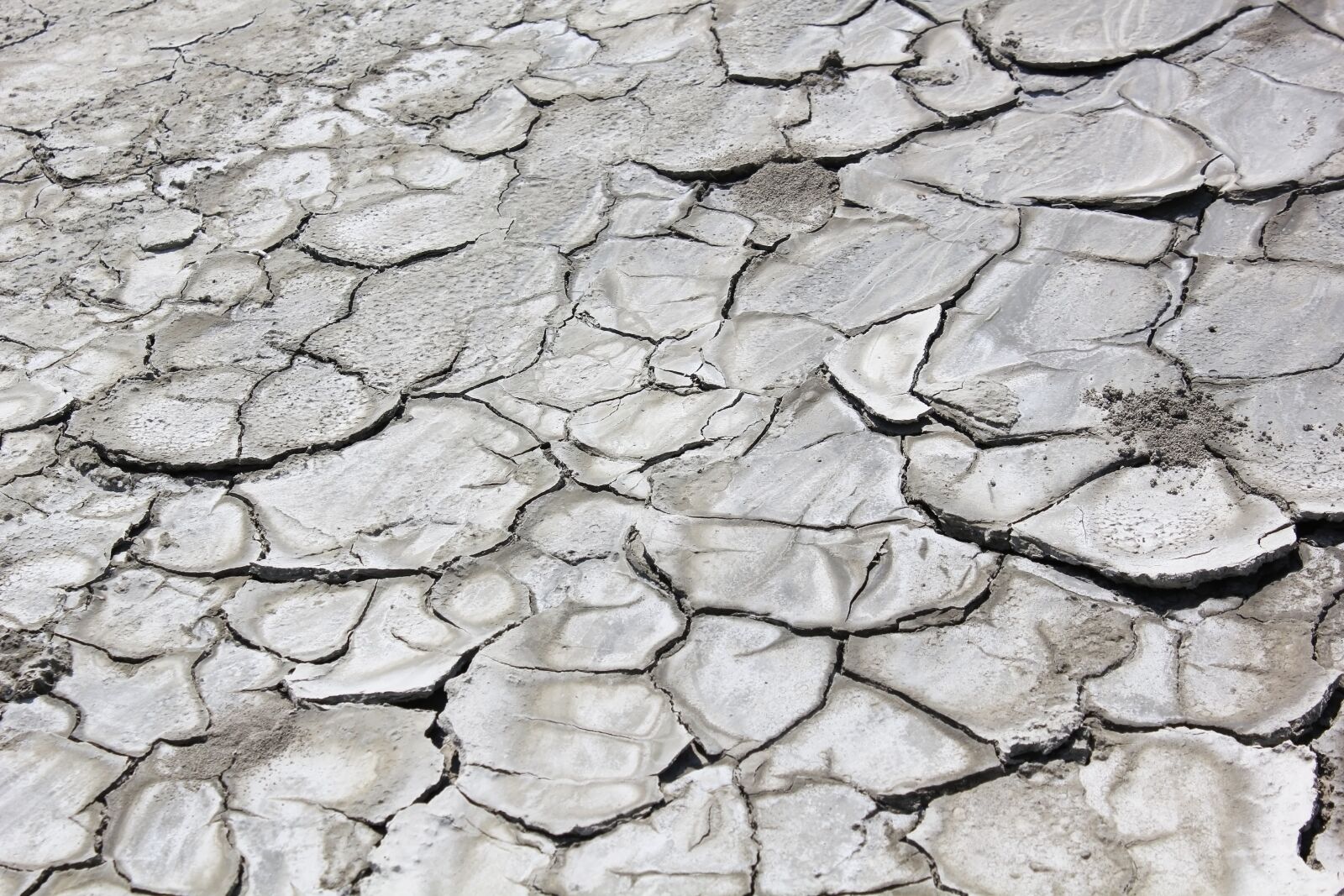 Canon EOS 550D (EOS Rebel T2i / EOS Kiss X4) sample photo. Drought, soil, dry photography