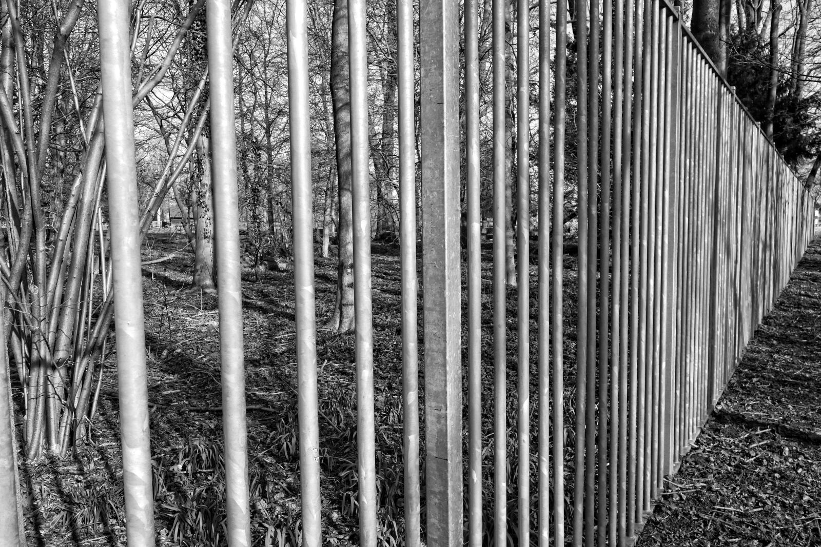 Sony Cyber-shot DSC-RX100 sample photo. Steel fence, bars, steel photography